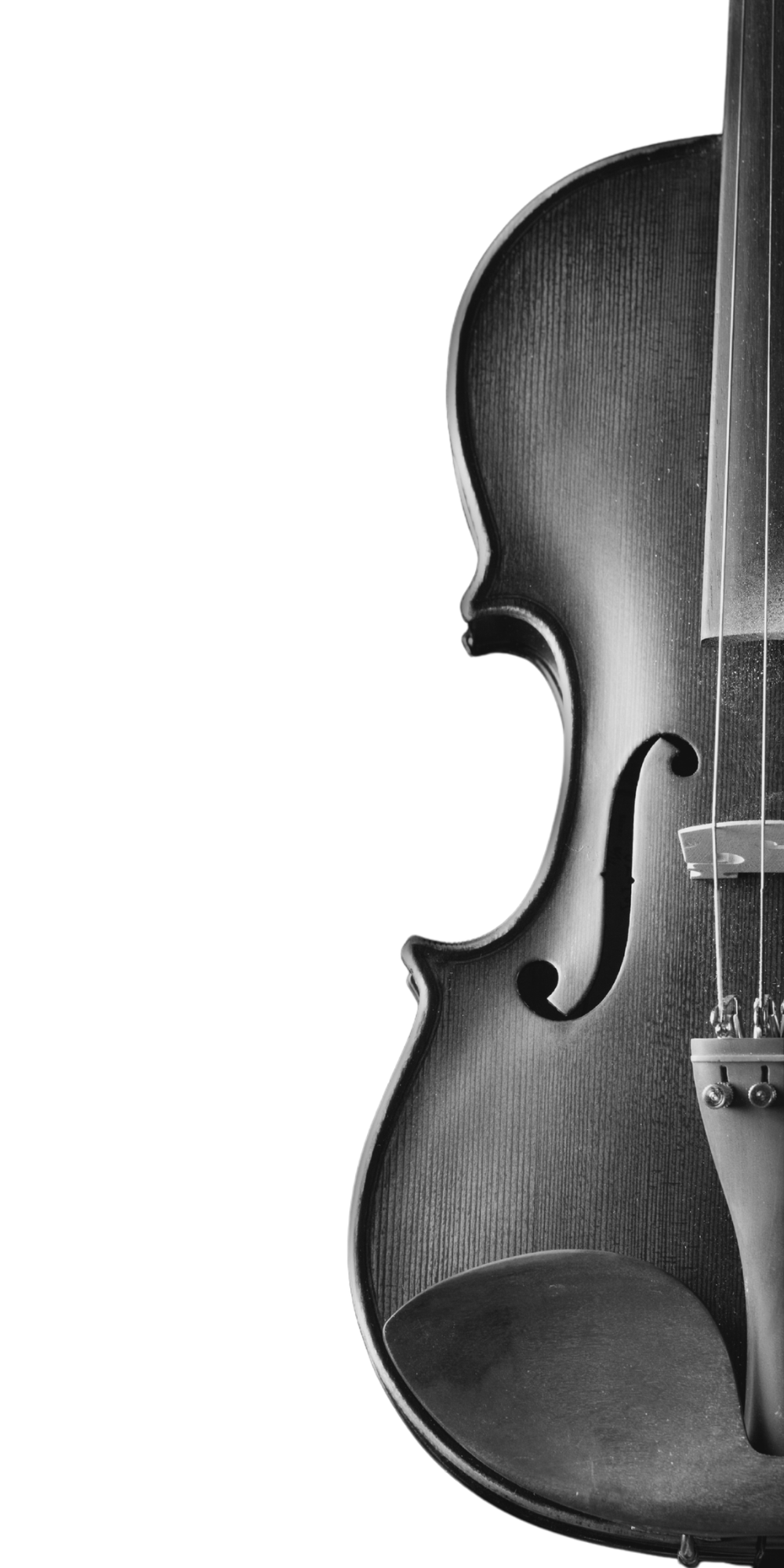 Close-up of a black and white violin showing the body and f-hole, with the right side of the instrument visible.