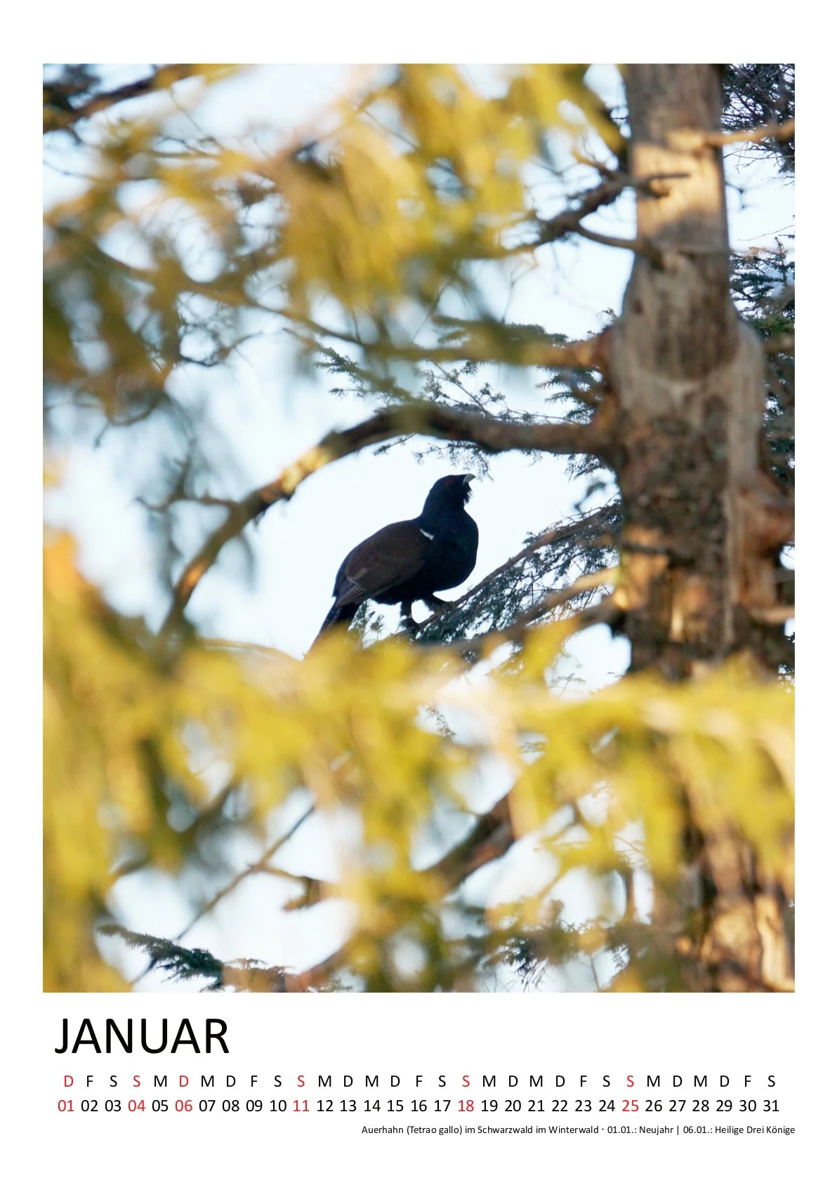HirschJ_Kalender 2026 hochkant_01Januar.jpg