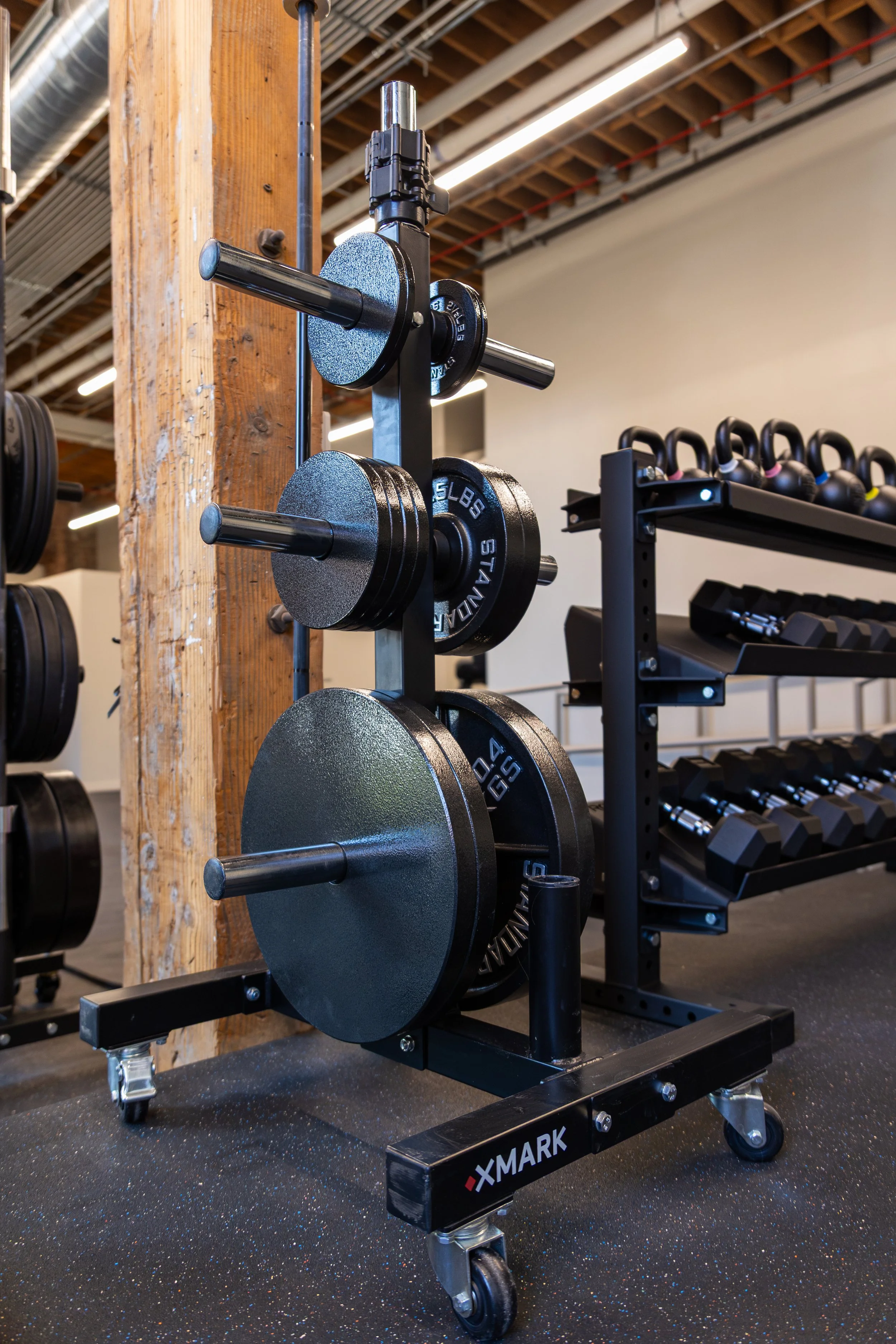 RaiseTheBar_1403LocustGym_10.7.25_v1-13.jpg