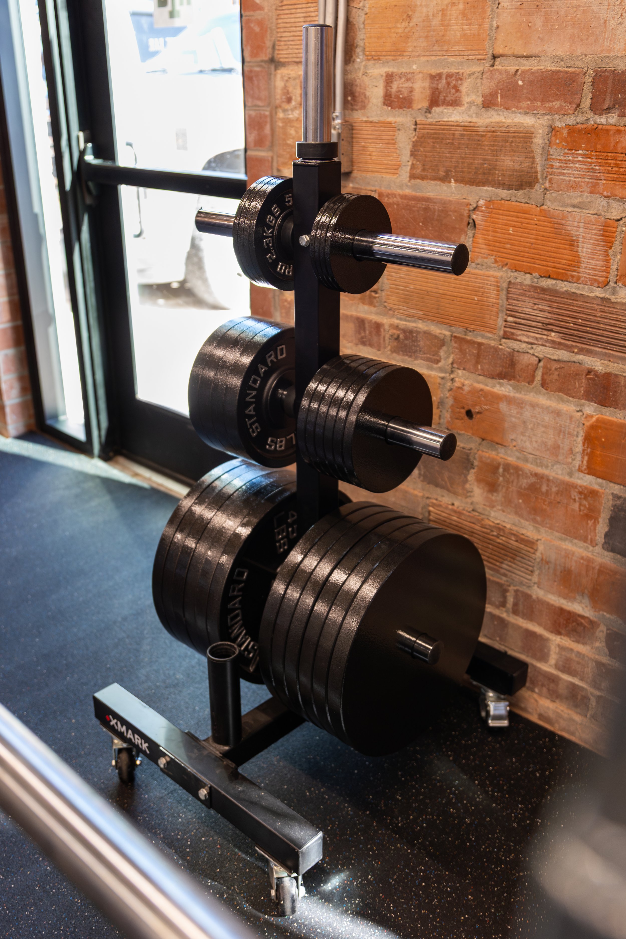 RaiseTheBar_1403LocustGym_10.7.25_v1-39.jpg