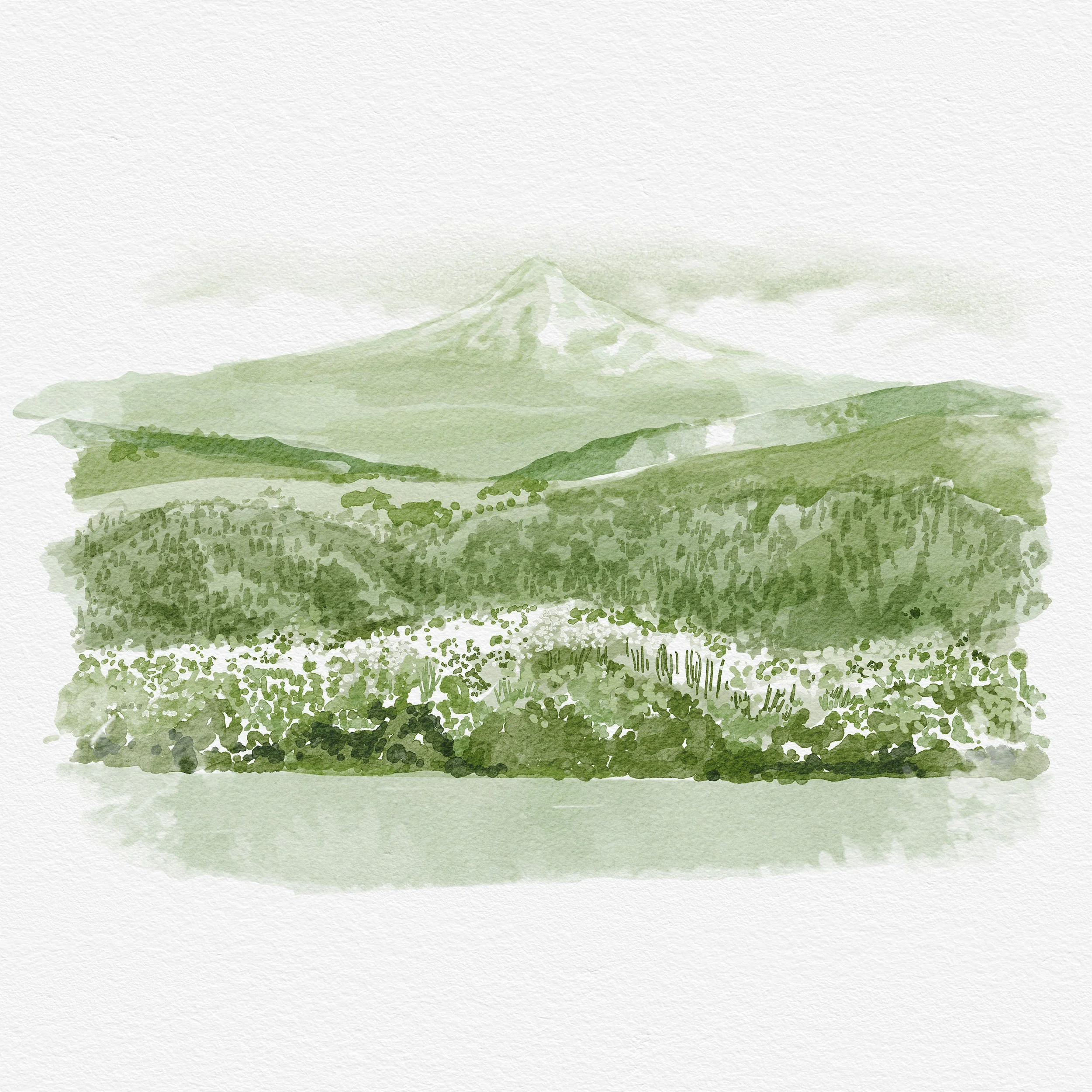 Landscape.jpg