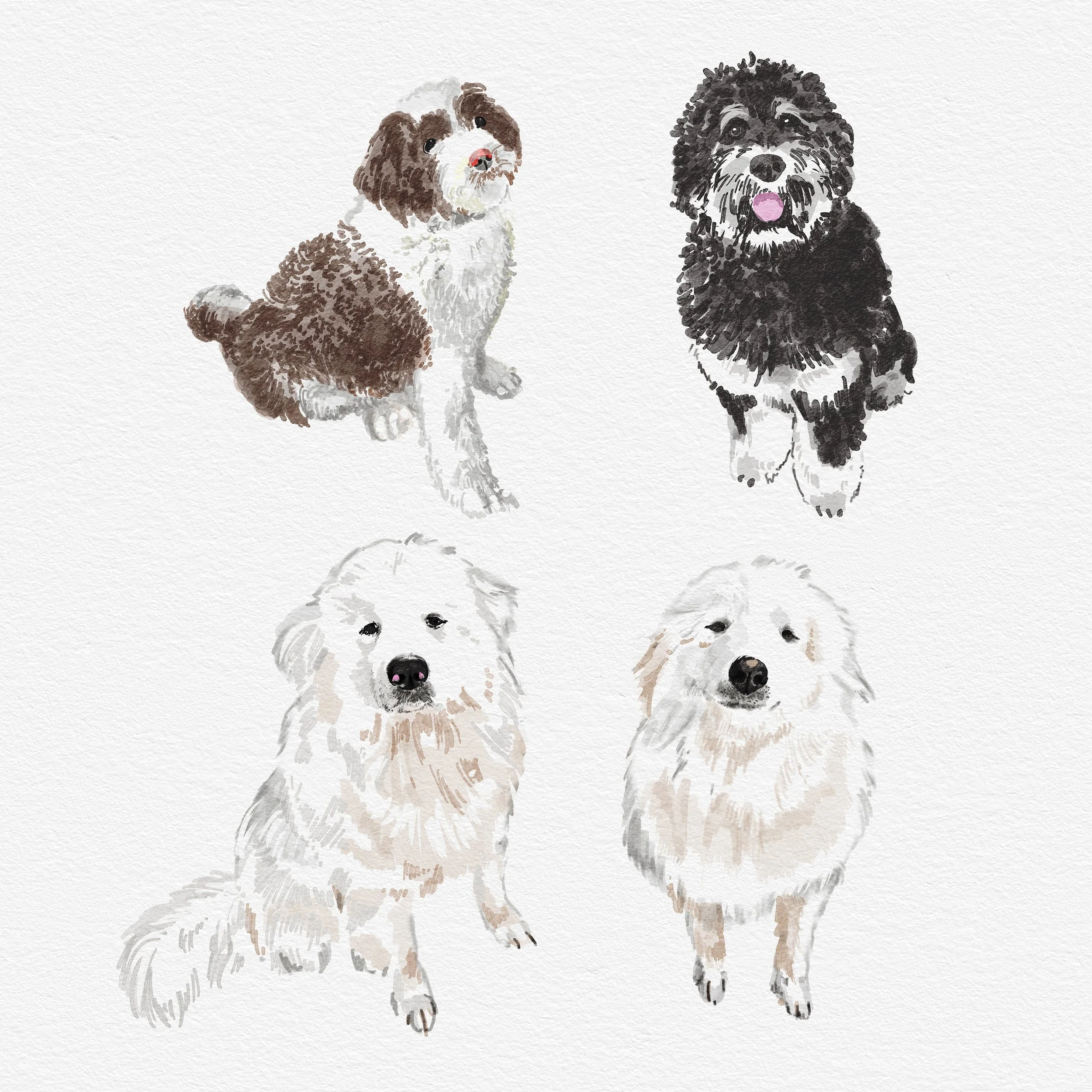 4 pups.jpg