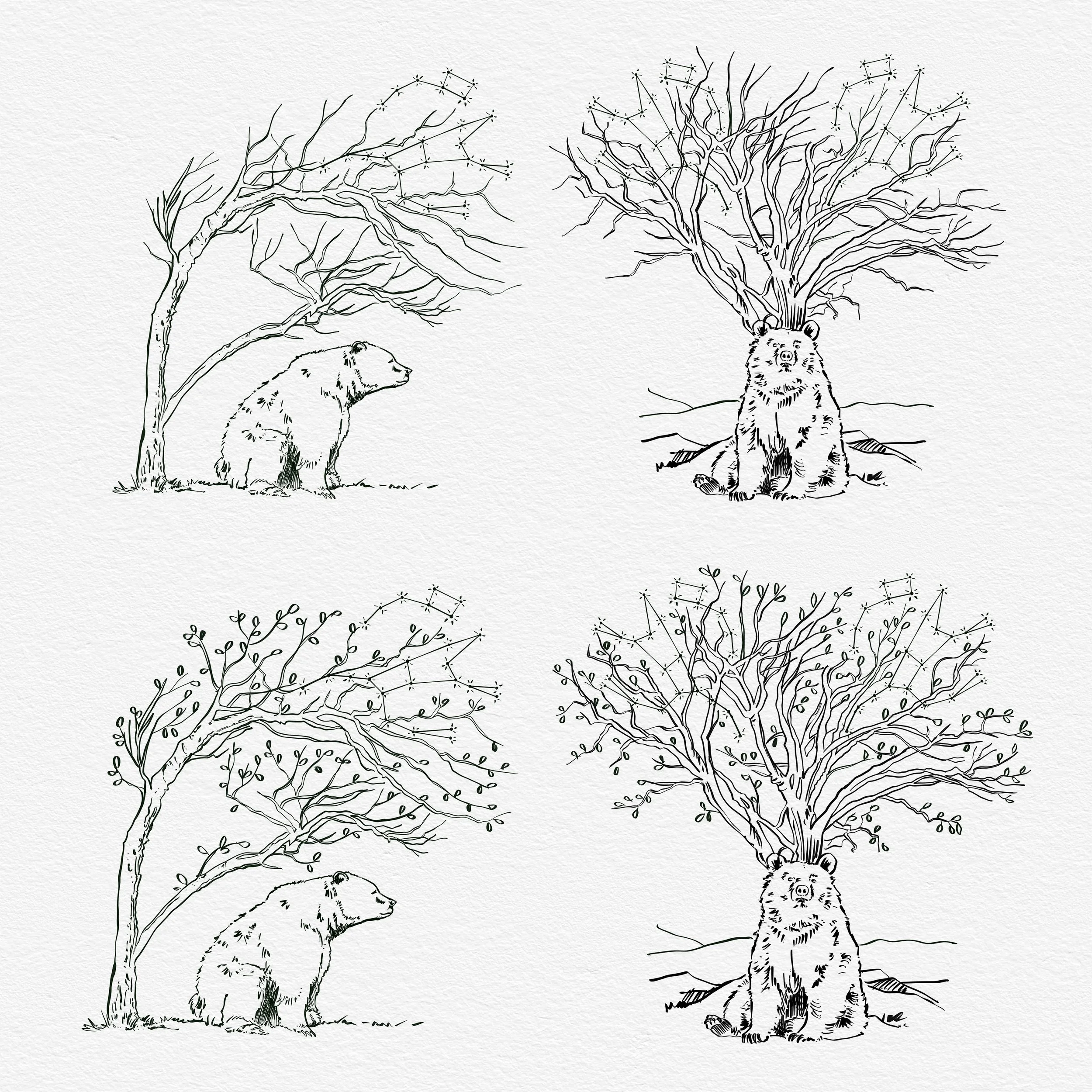 Bears and Constellations