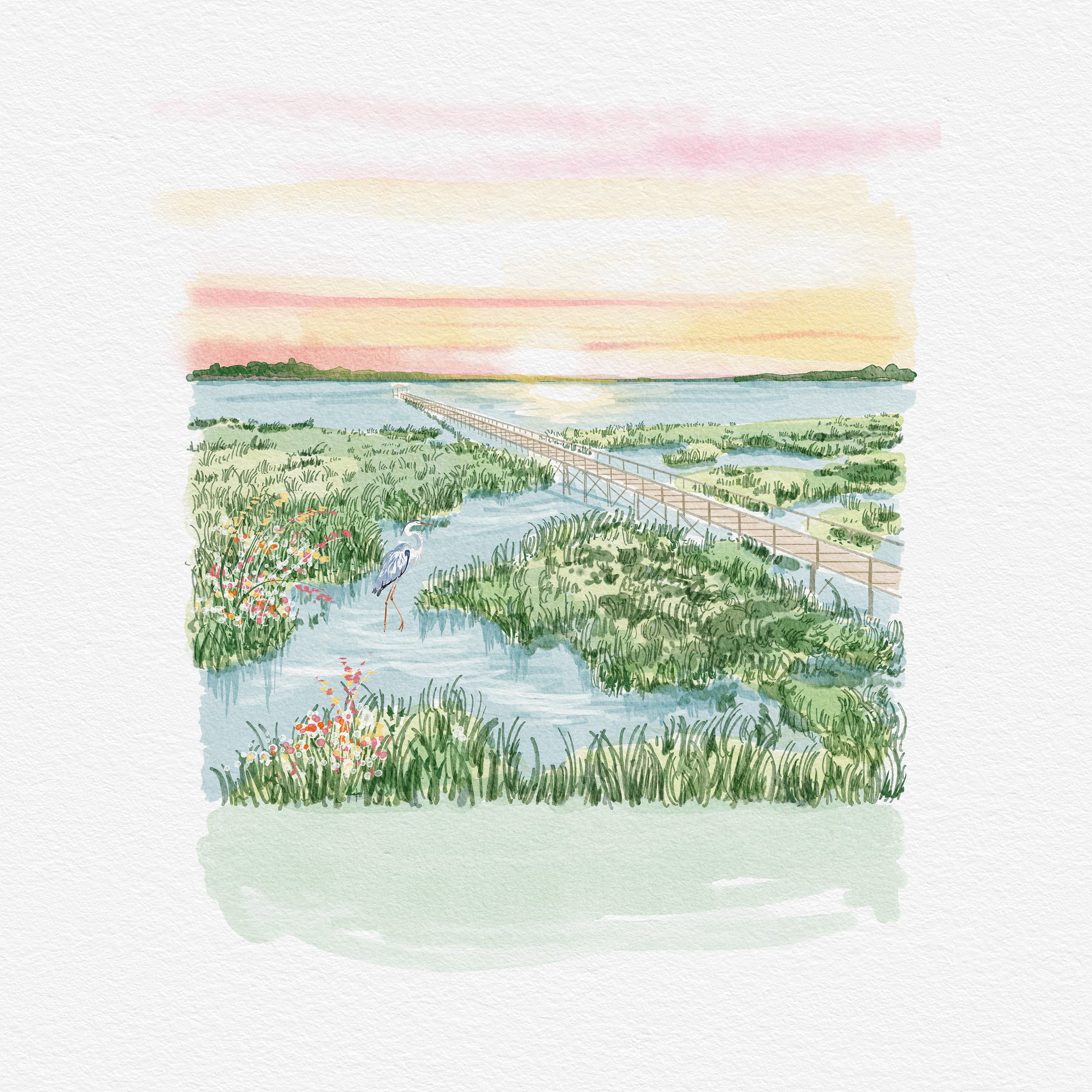 0 NEW Marsh.jpg