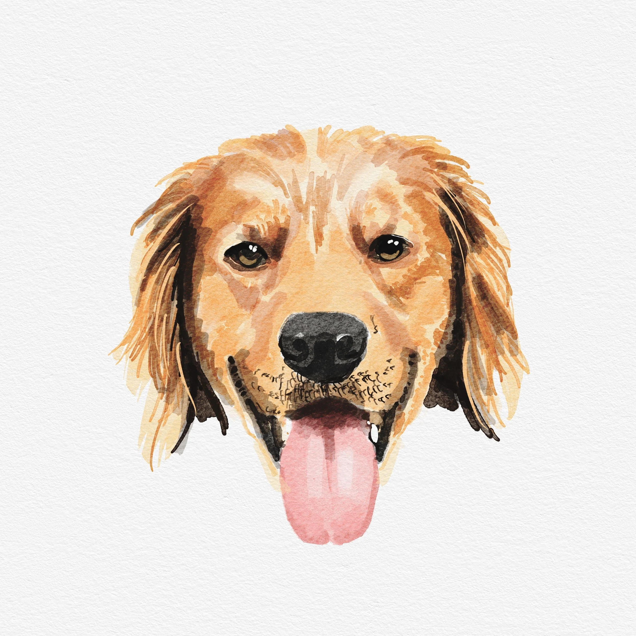 Orange+Pup.jpg