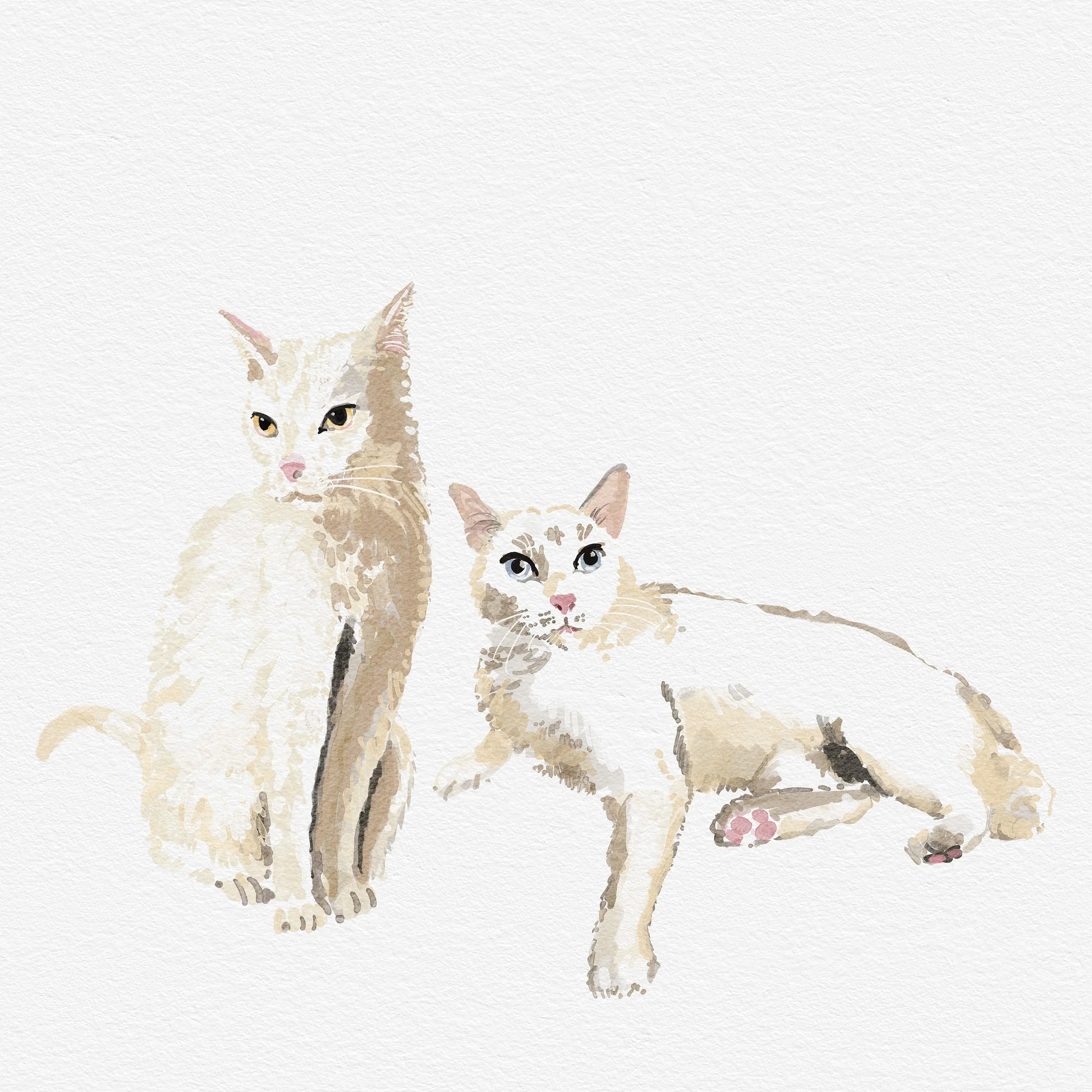  2cats.jpg