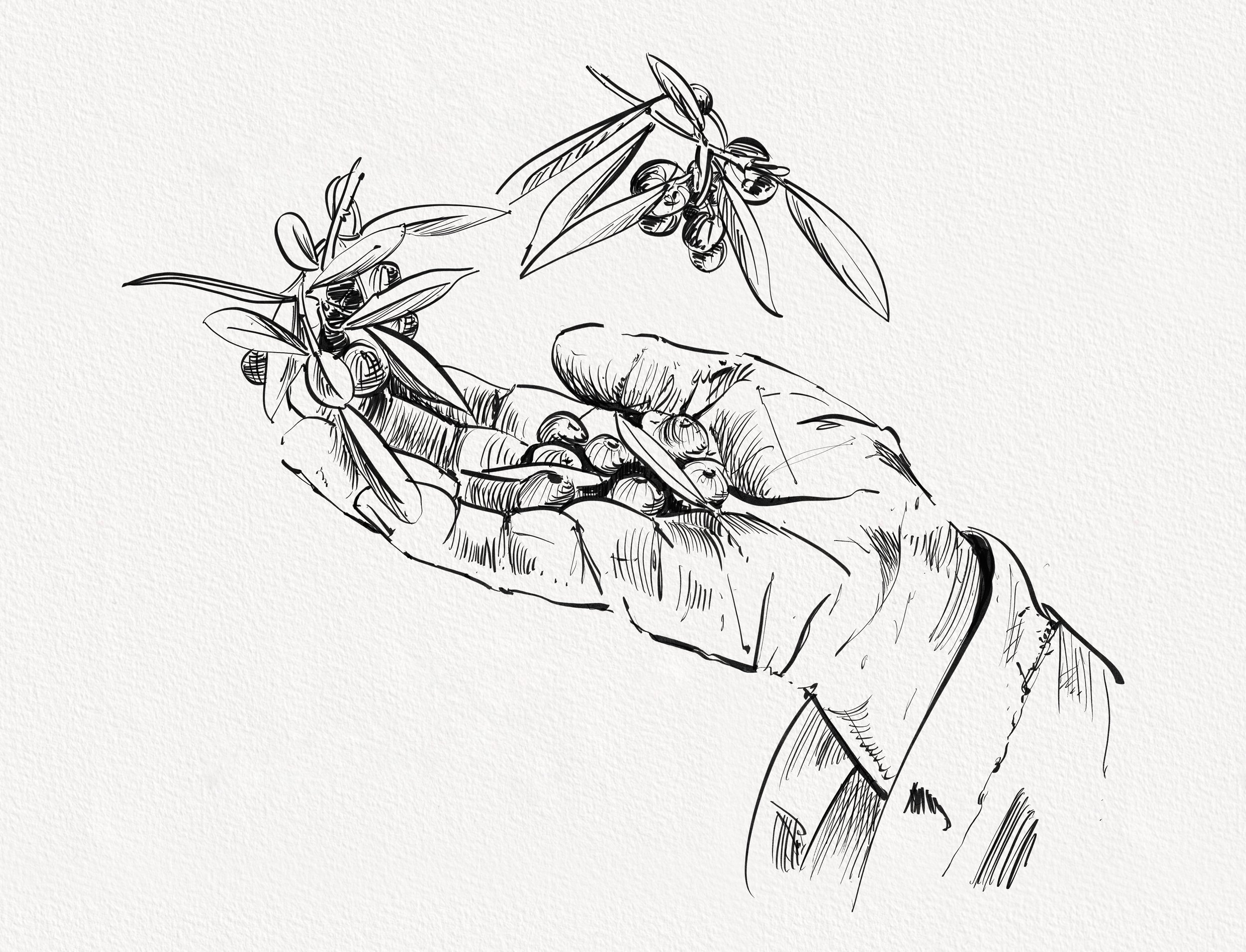 Hand 2.jpg