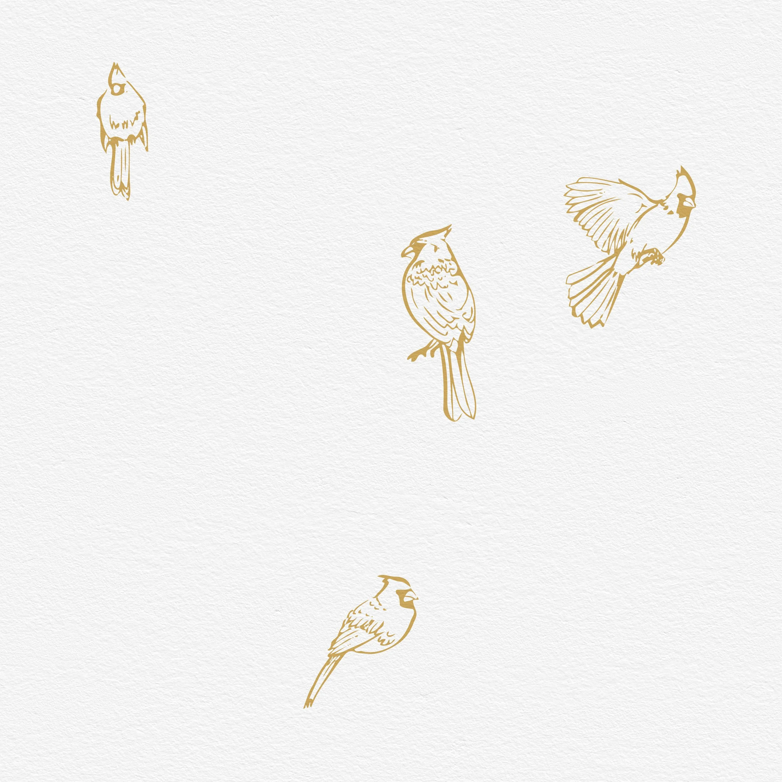 Cardinals outlines.jpg