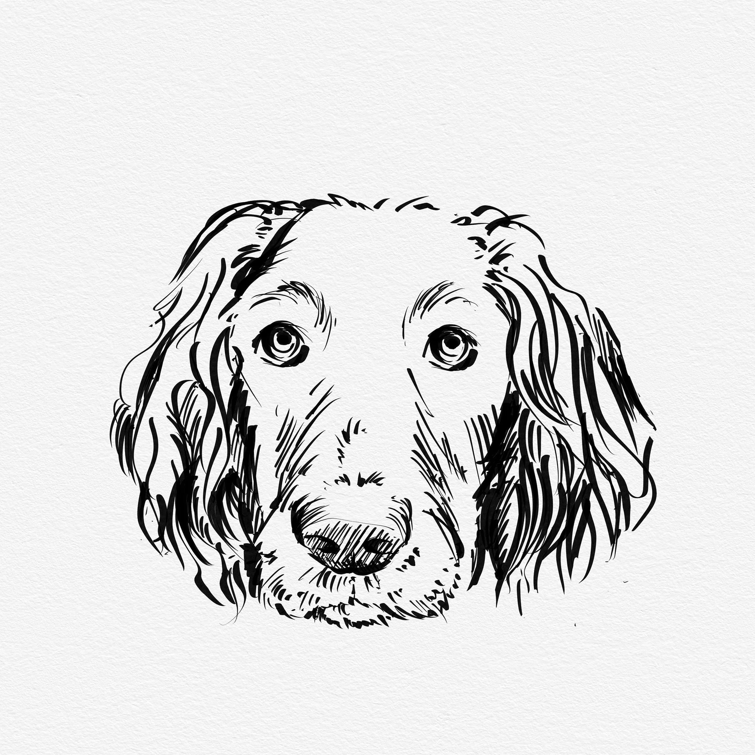Pup.jpg