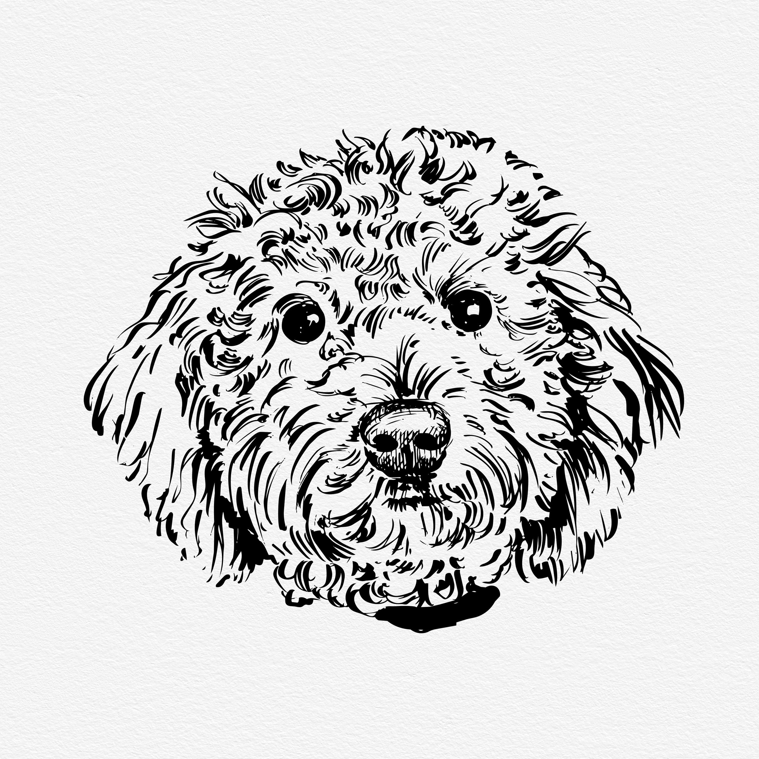 Pup Portrait-Head.jpg