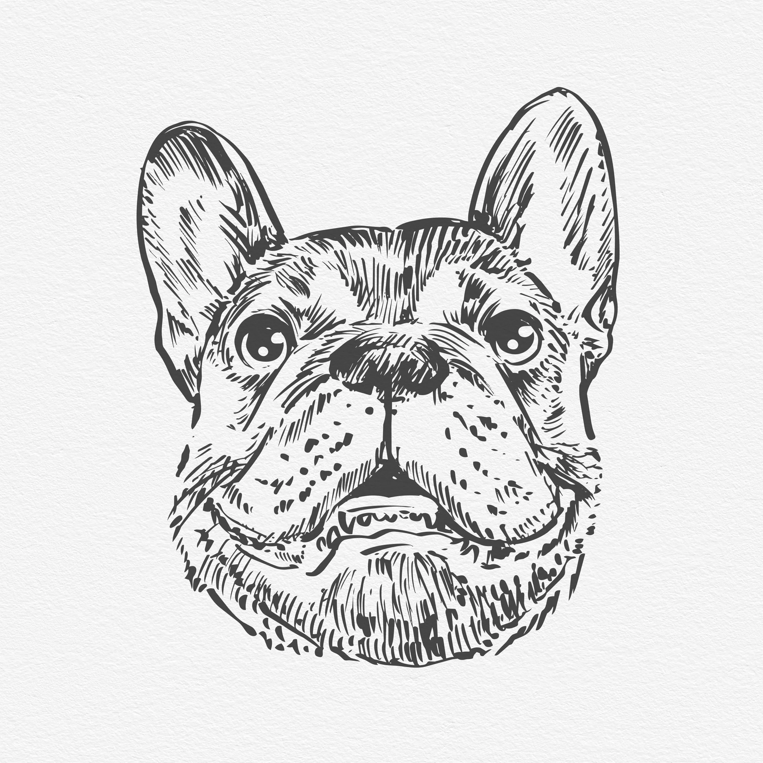 Pet head.jpg