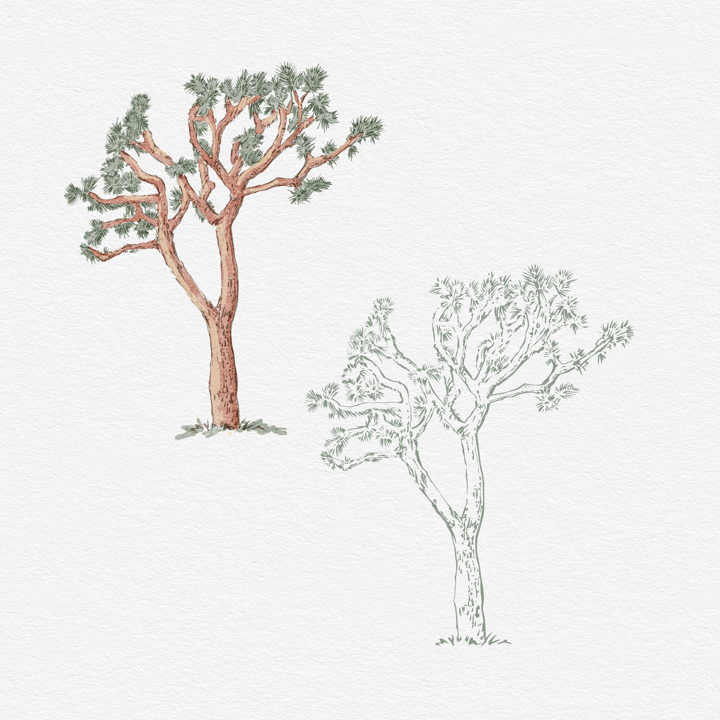 Joshua Tree.jpg