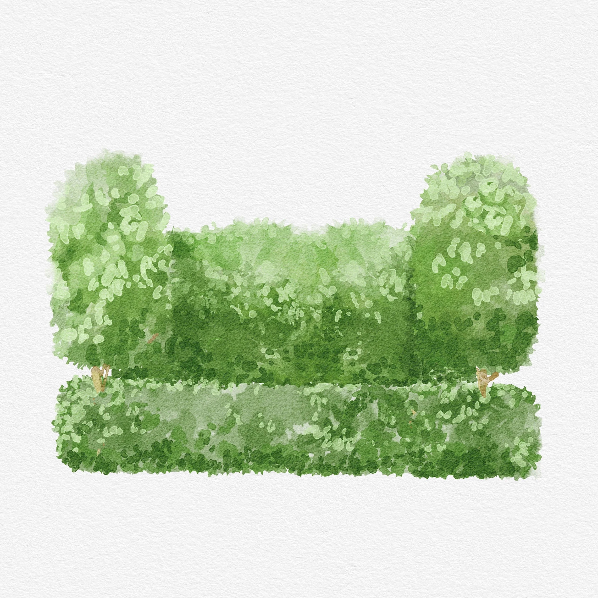 0 NEW Greenery v3.jpg