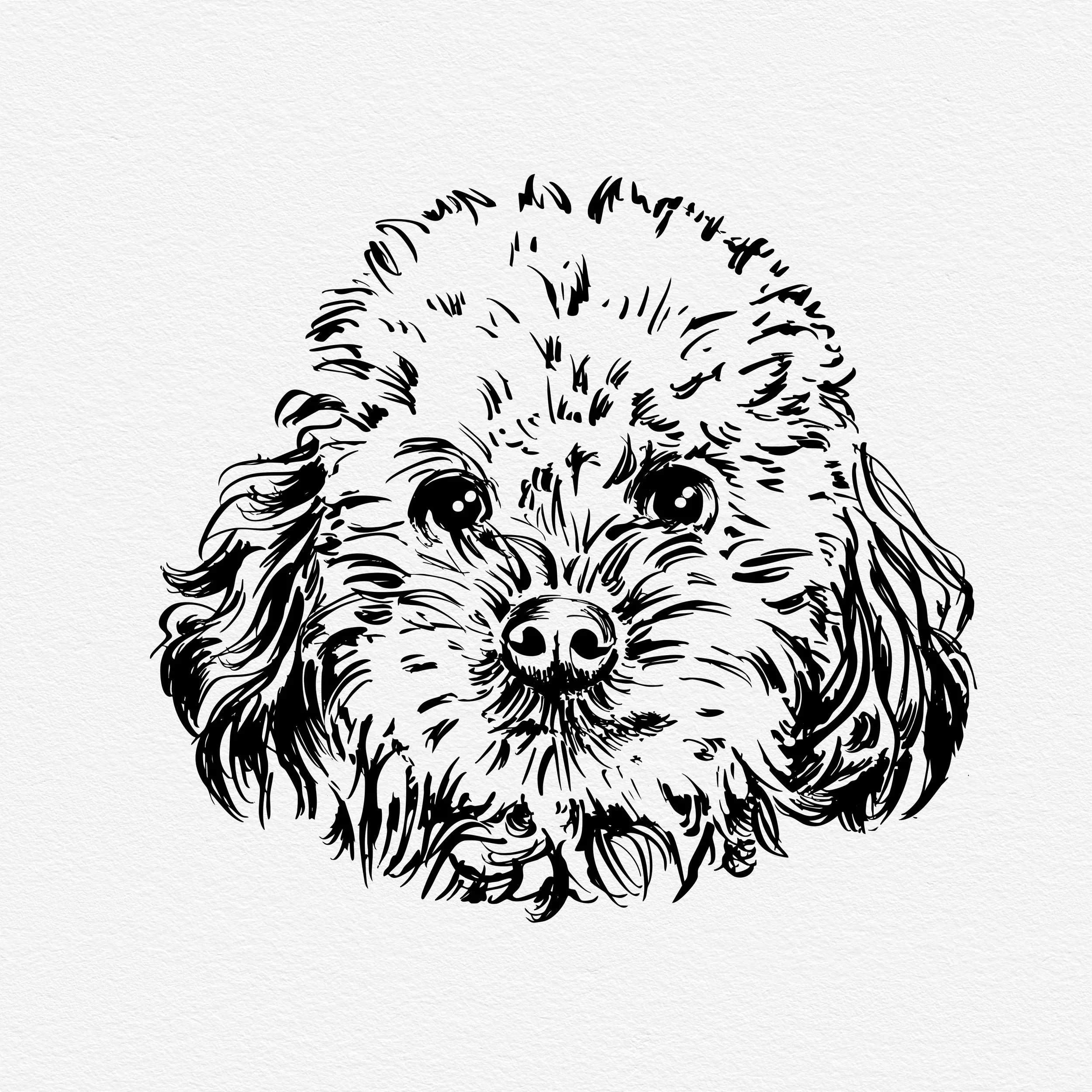 0 NEW Pup.jpg