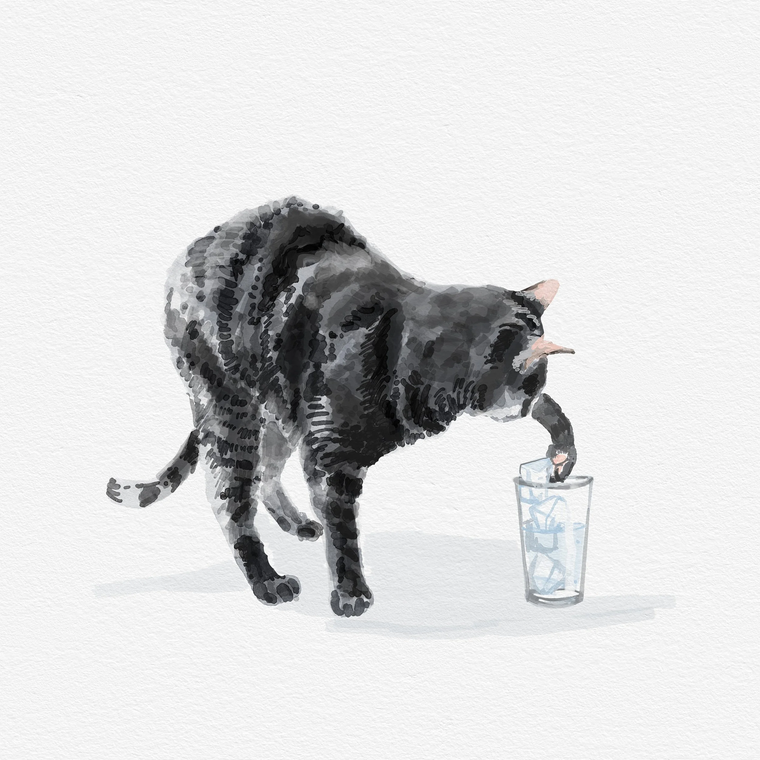 Cat with glass.jpg