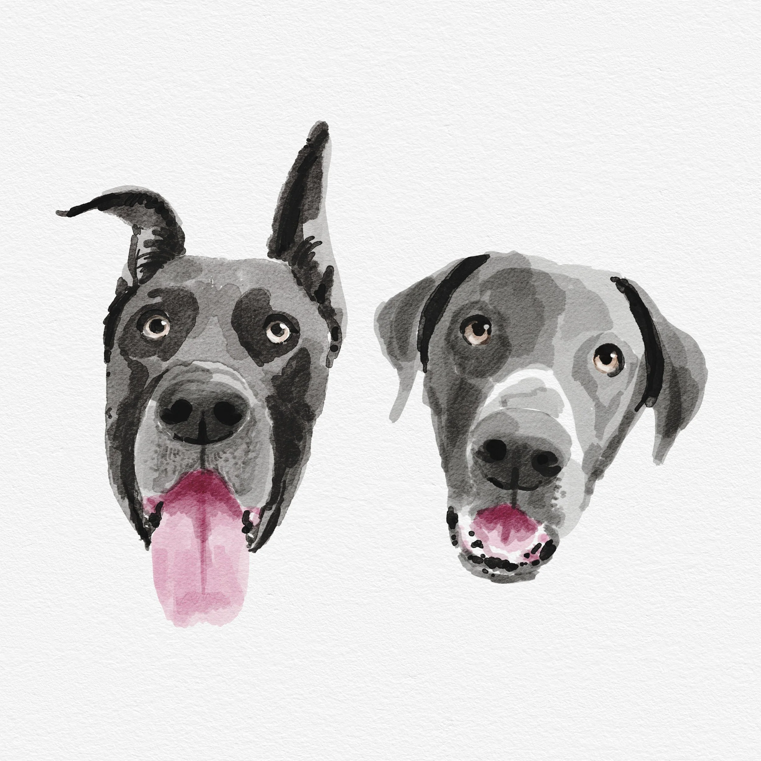 pups.jpg