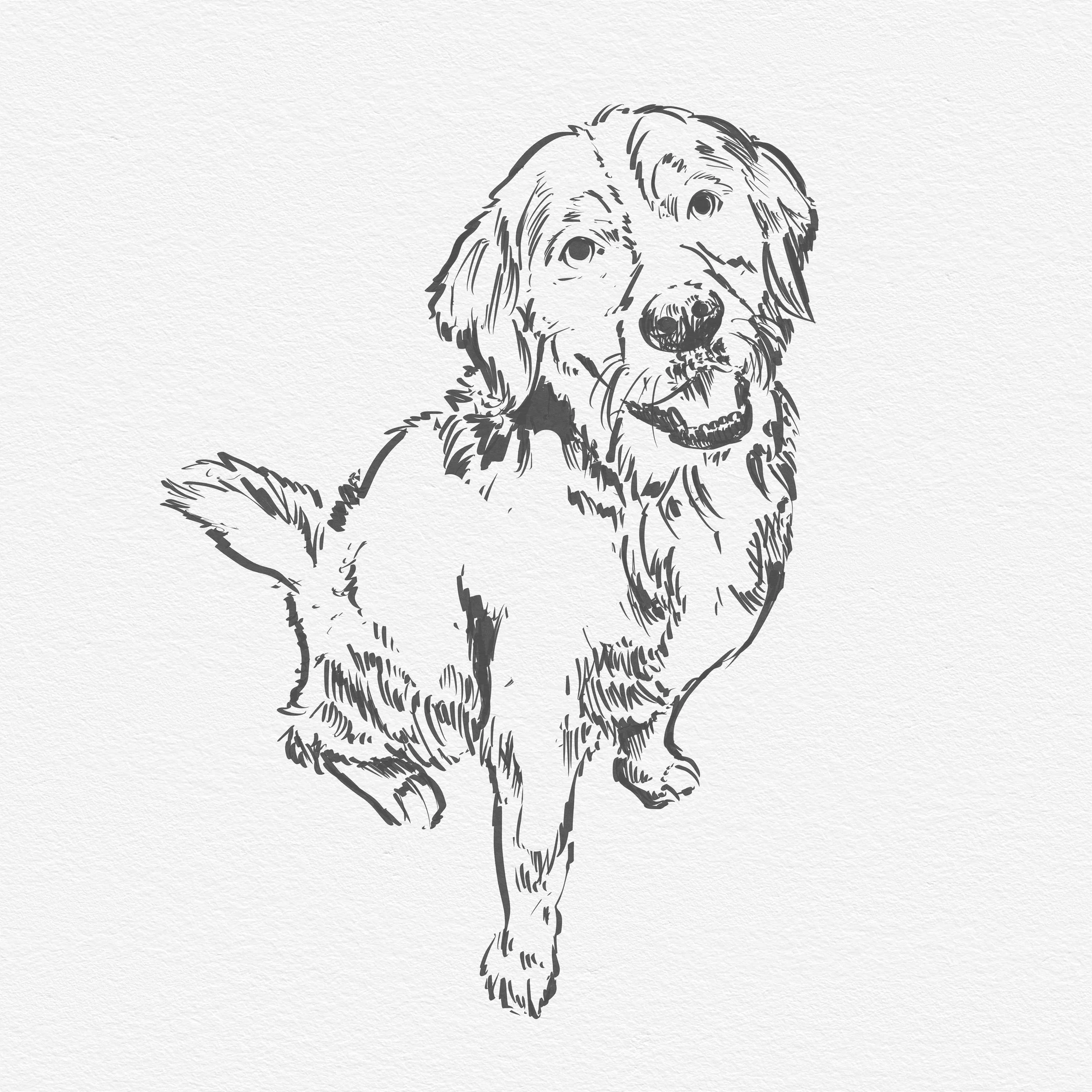 Pup portrait - sitting.jpg