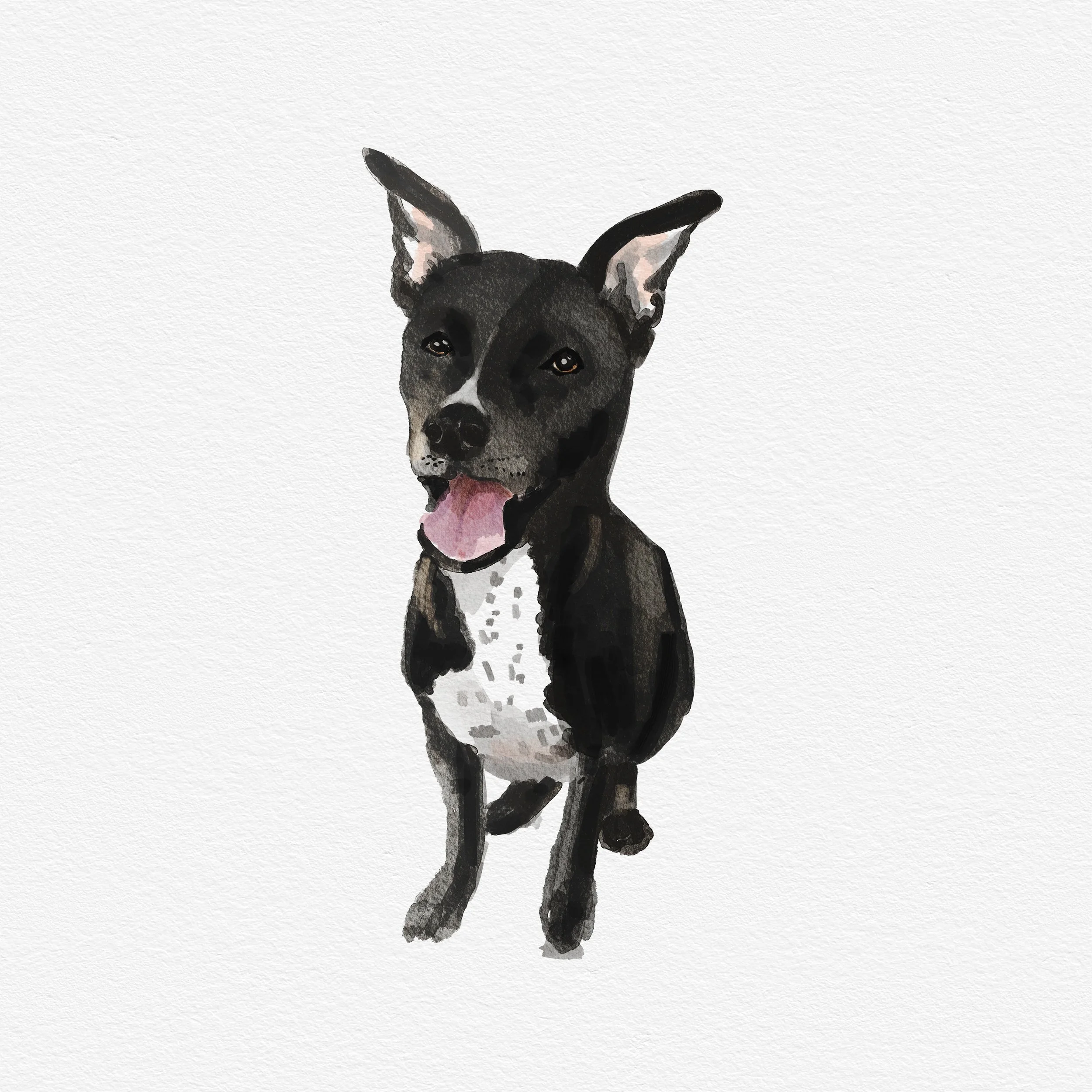Black pup 2.jpg