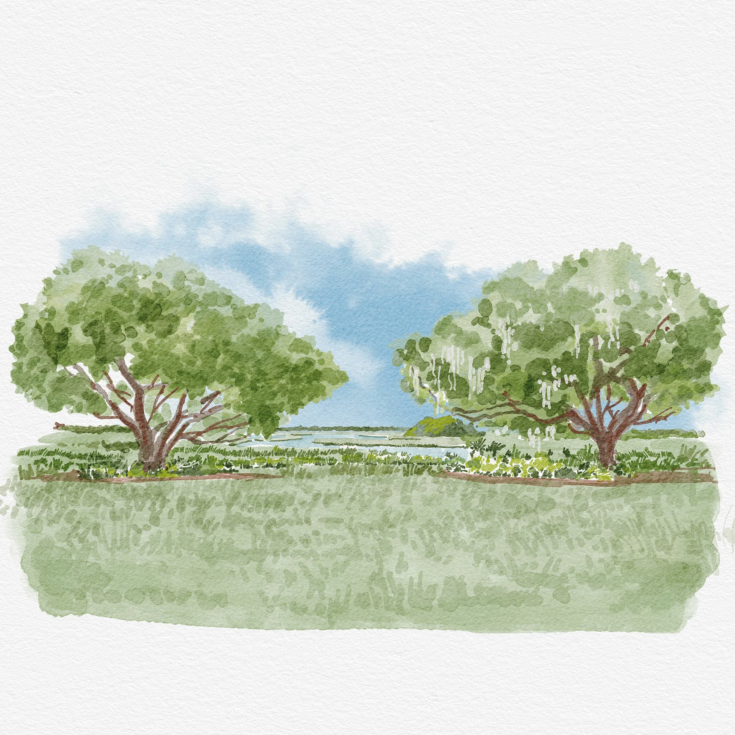 Marsh.jpg