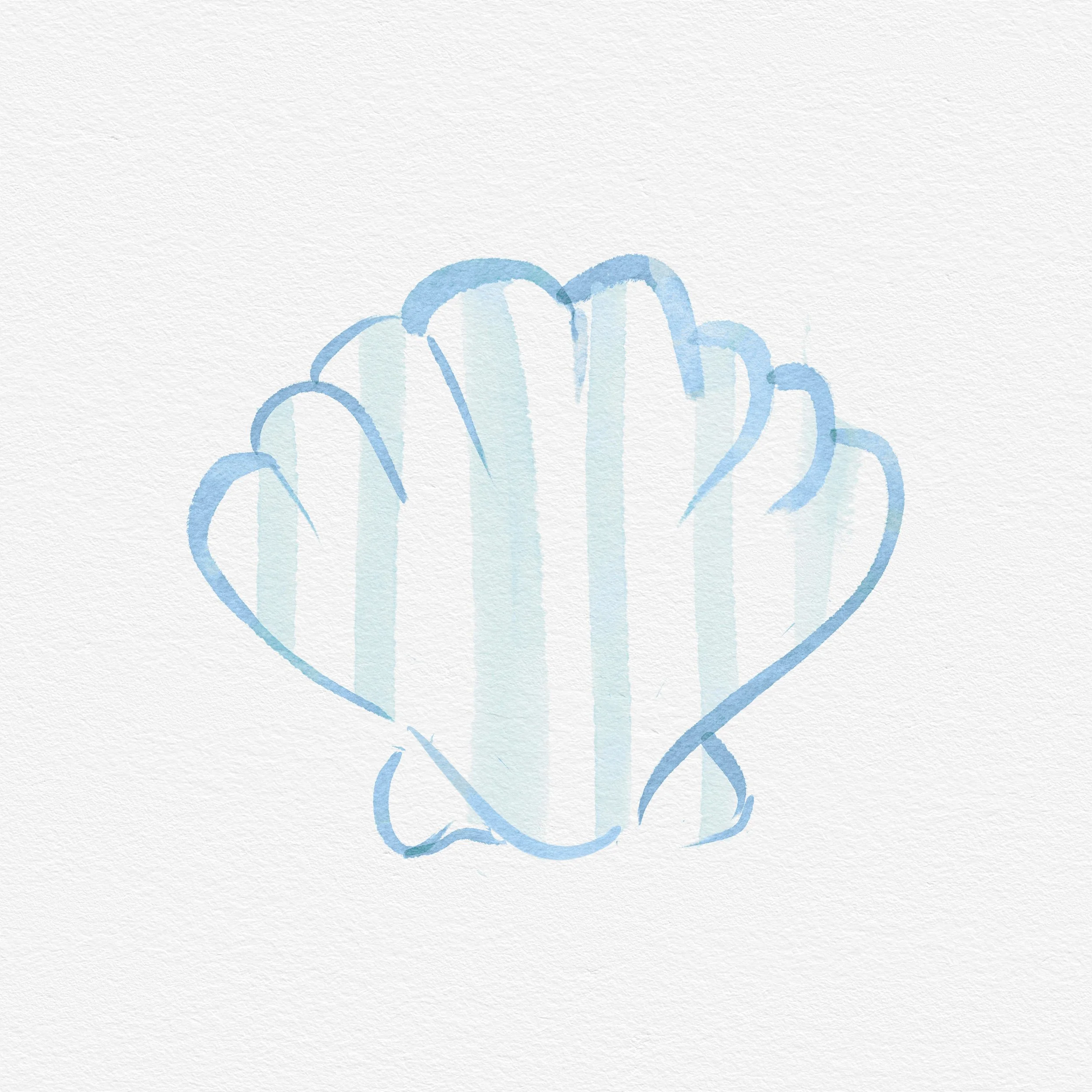 Whimsy Shell.png.jpg