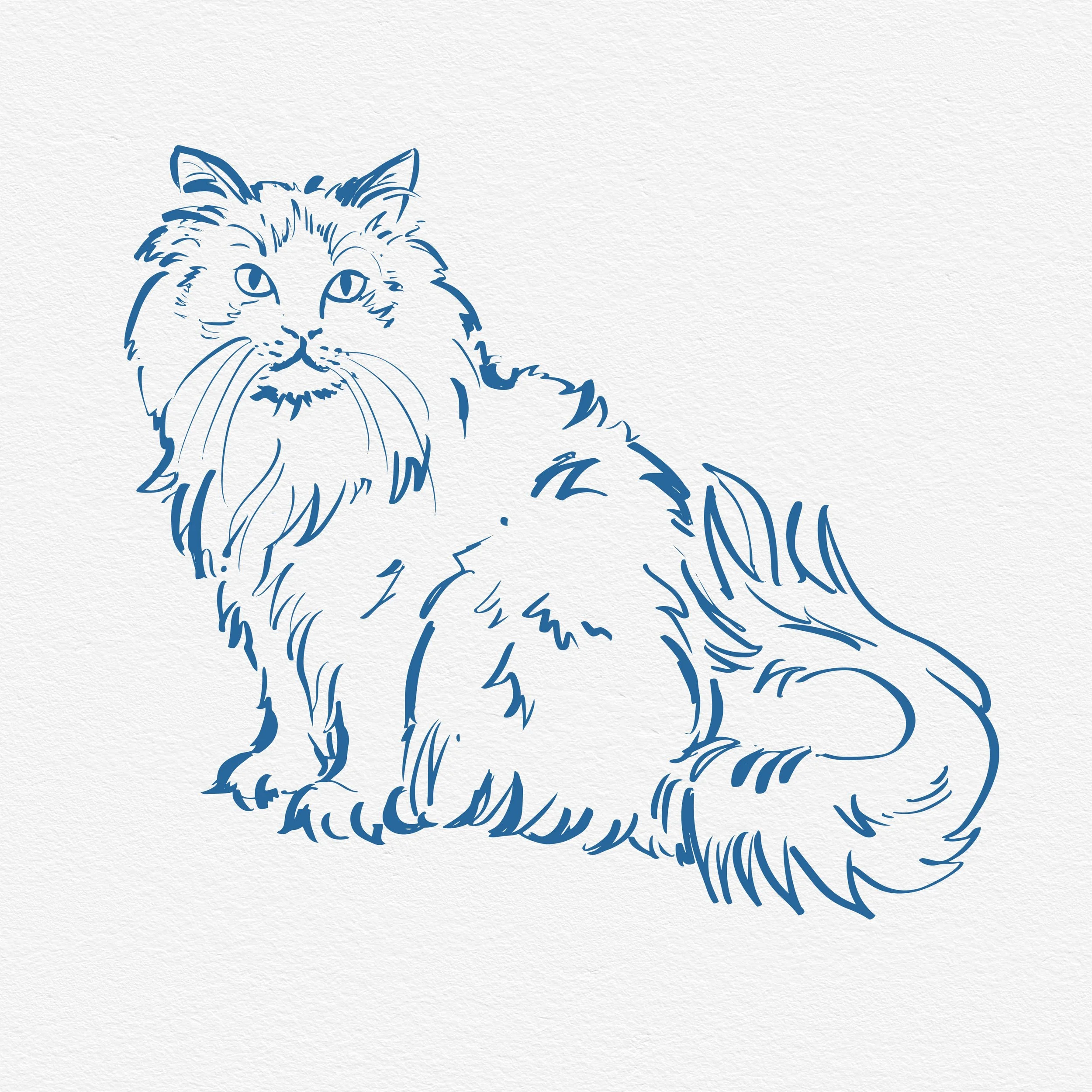 0 NEW Franklin the Cat.jpg