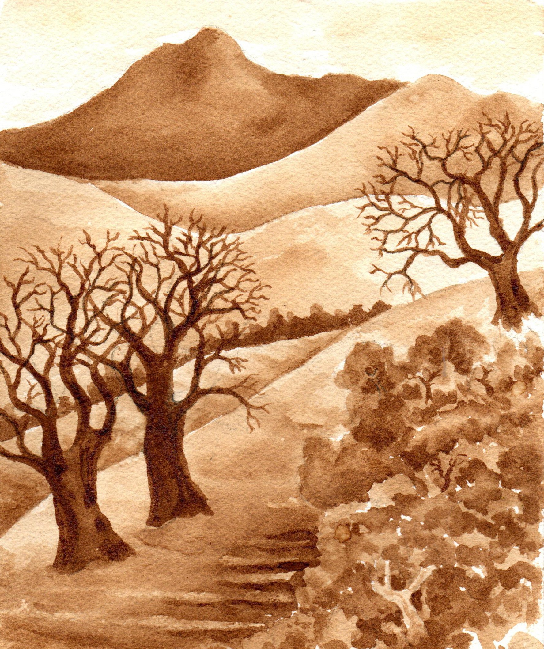 coffee-hillside.jpg
