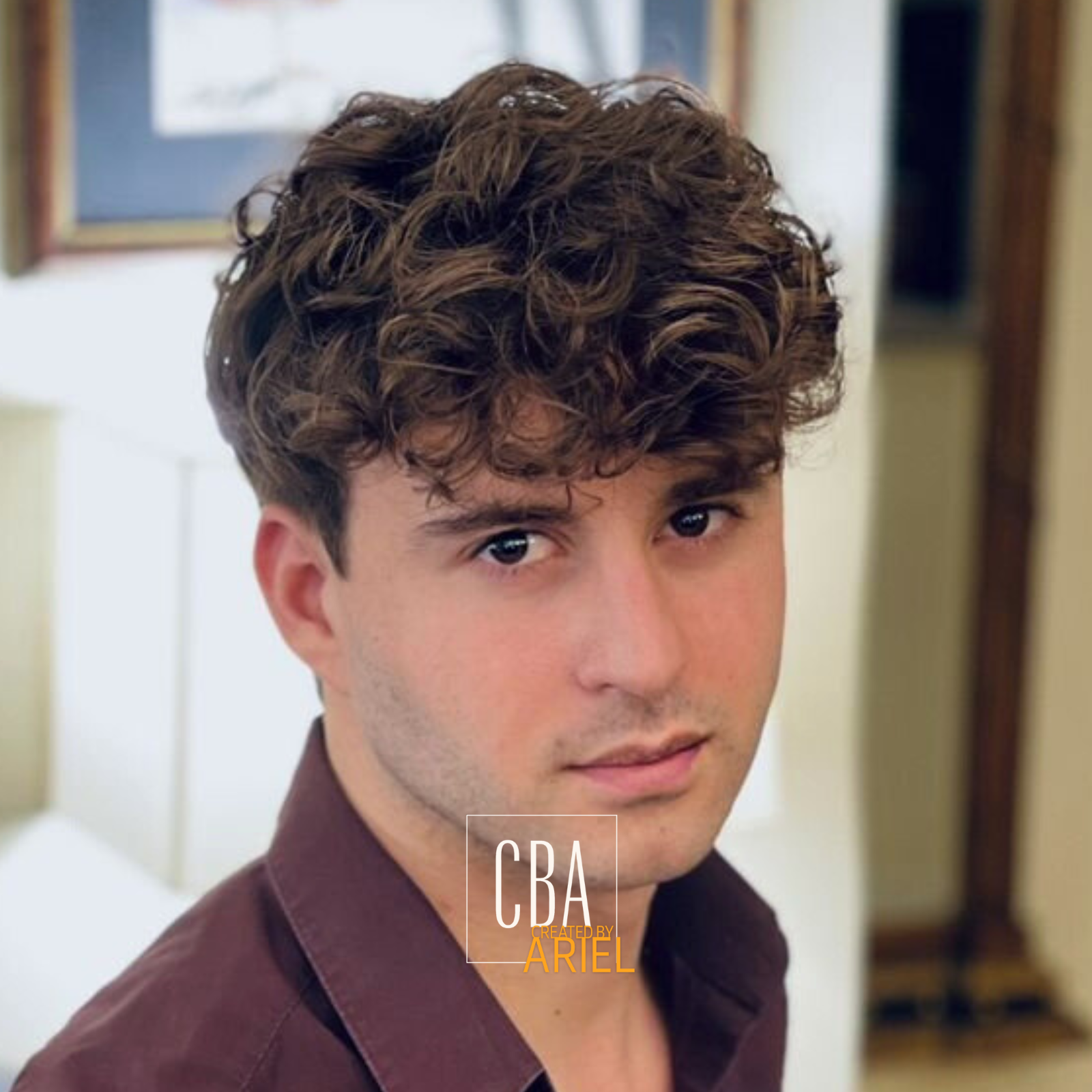 Close-up of a young man with curly brown hair, wearing a brown shirt, in a room with furniture and framed artwork in the background.