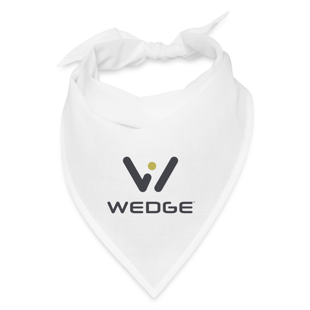 6313bf466eb2507c28cd5ebe.png