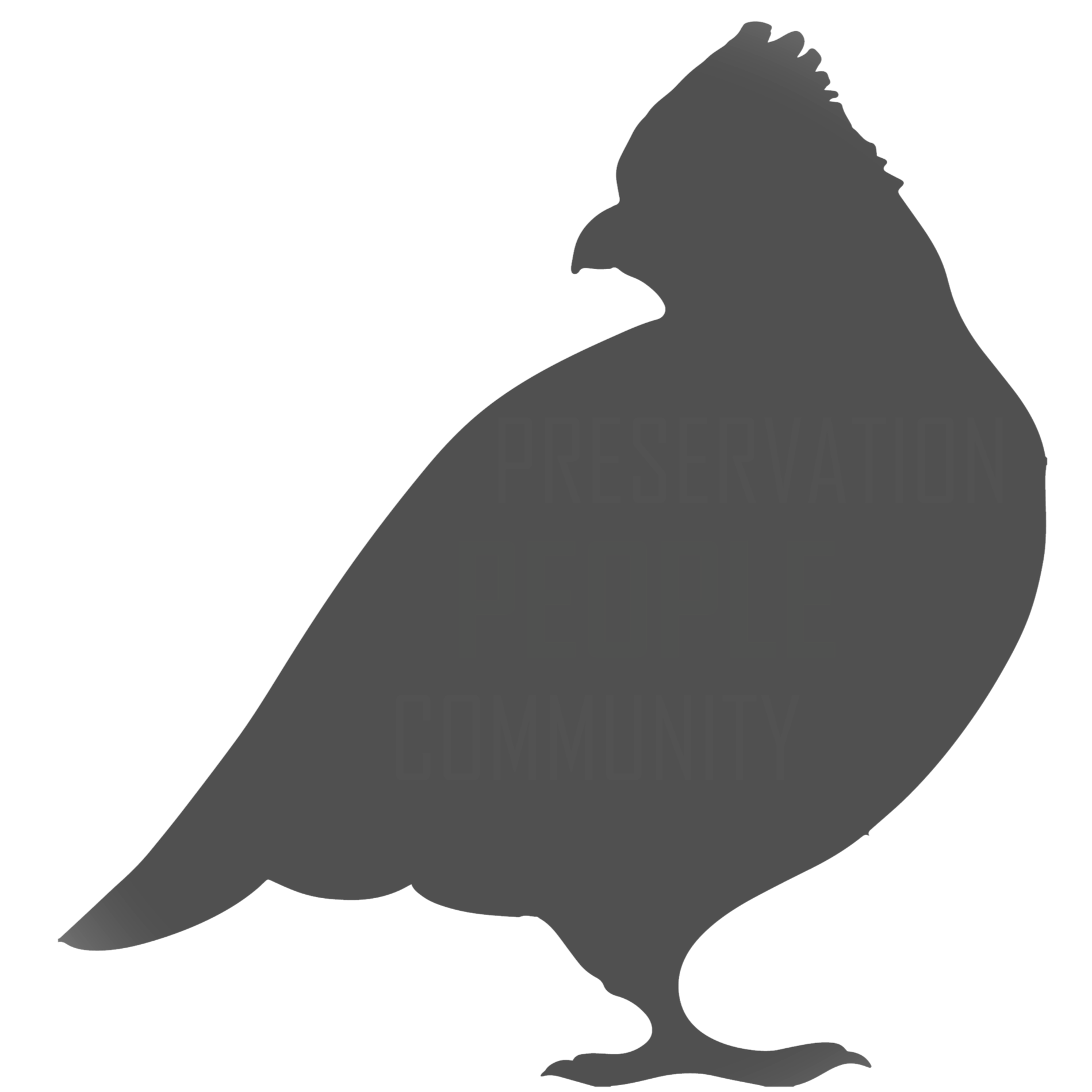 Black Silhouette of a Northern Bobwhite Quail
