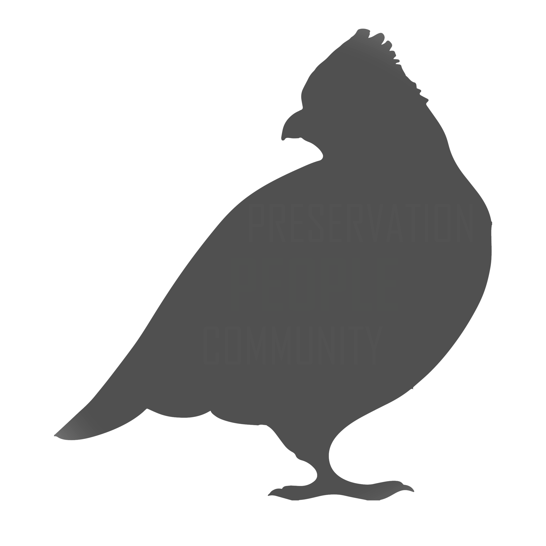 Northern Bobwhite Quail silhouette in dark grey.