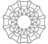 A geometric starburst pattern with a central black circle and radiating lines forming a web-like design