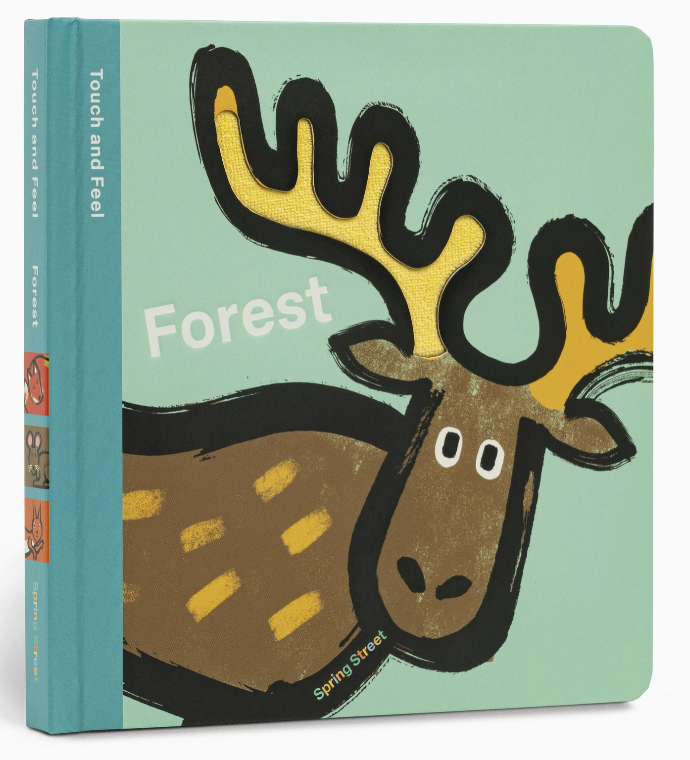 Touch and Feel: Forest