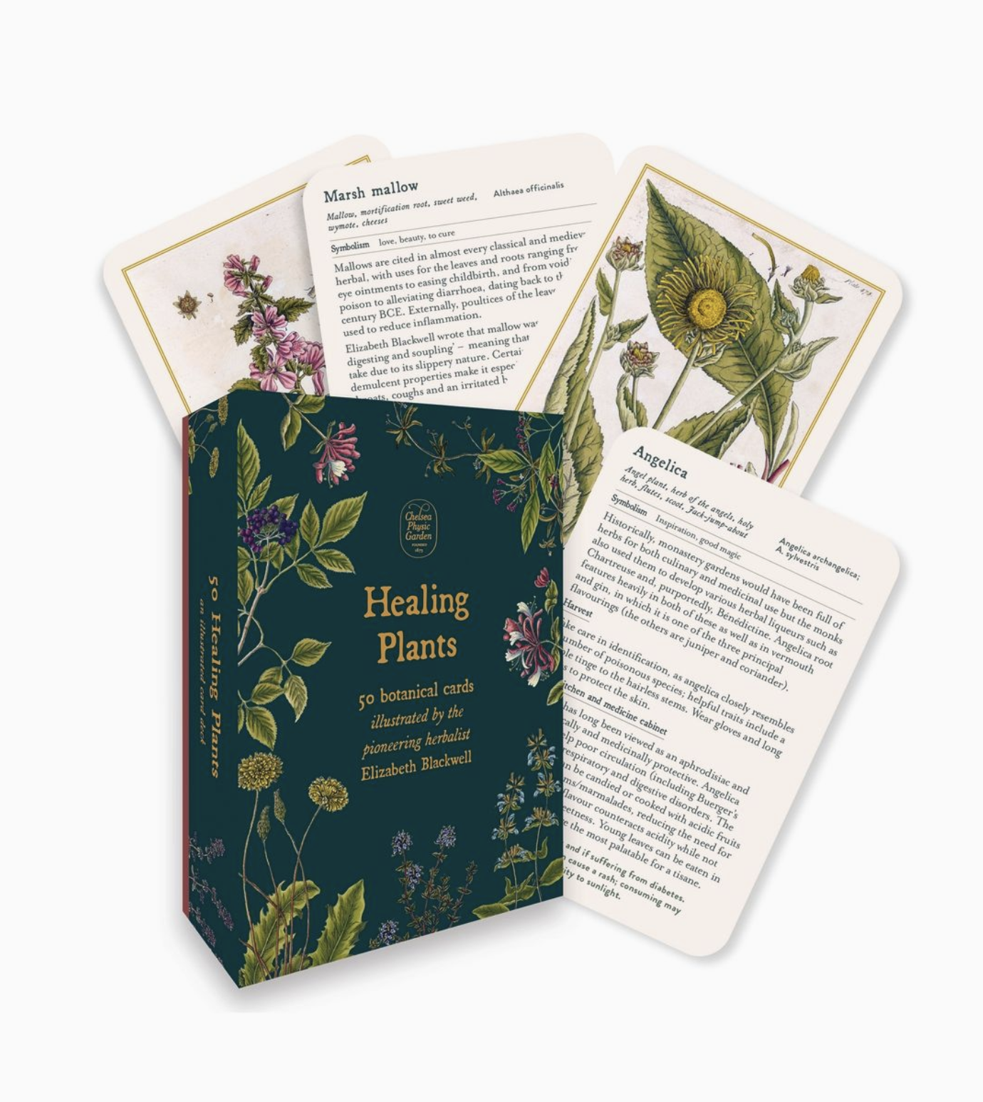 Healing Plants Botanical Cards