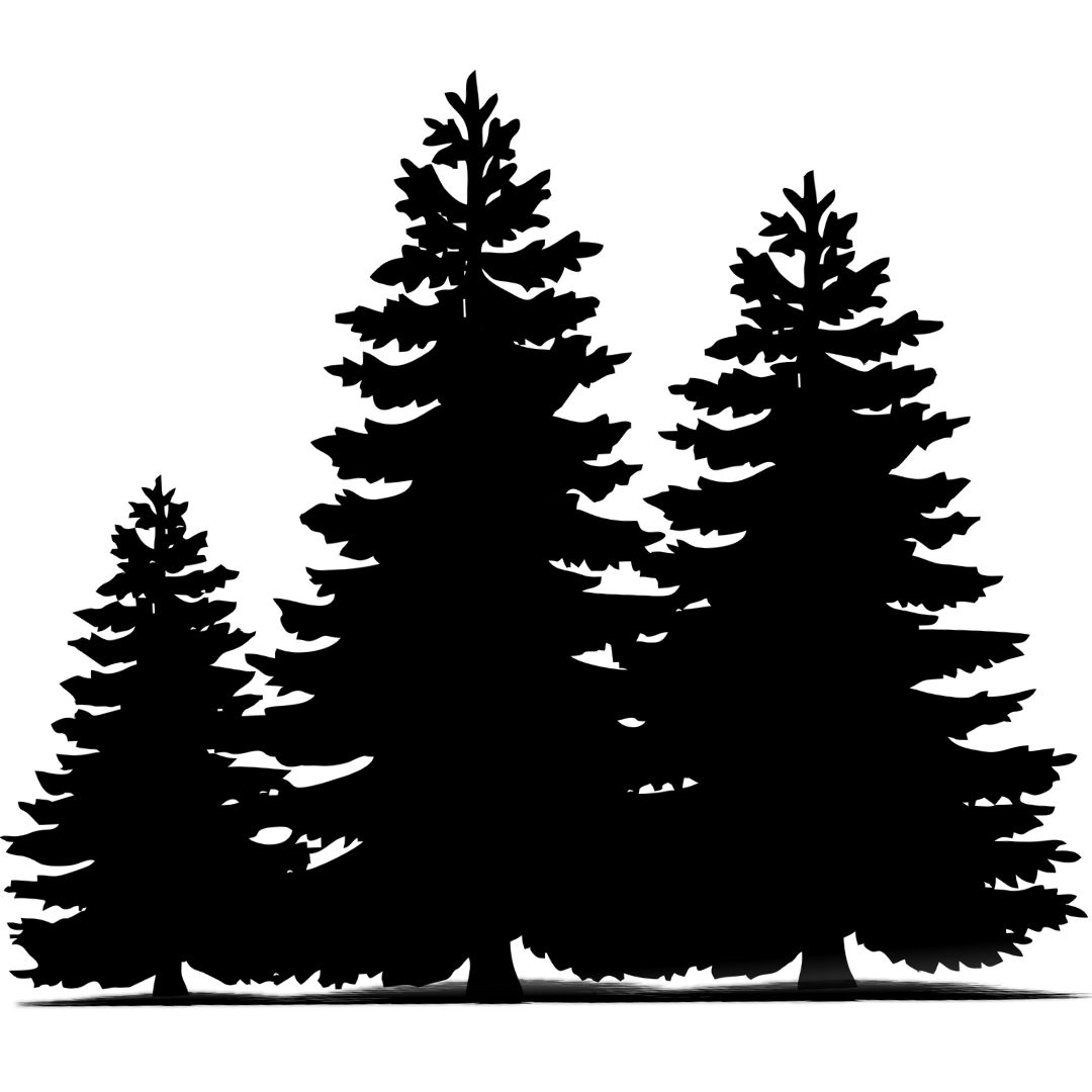3 Black pine trees icon