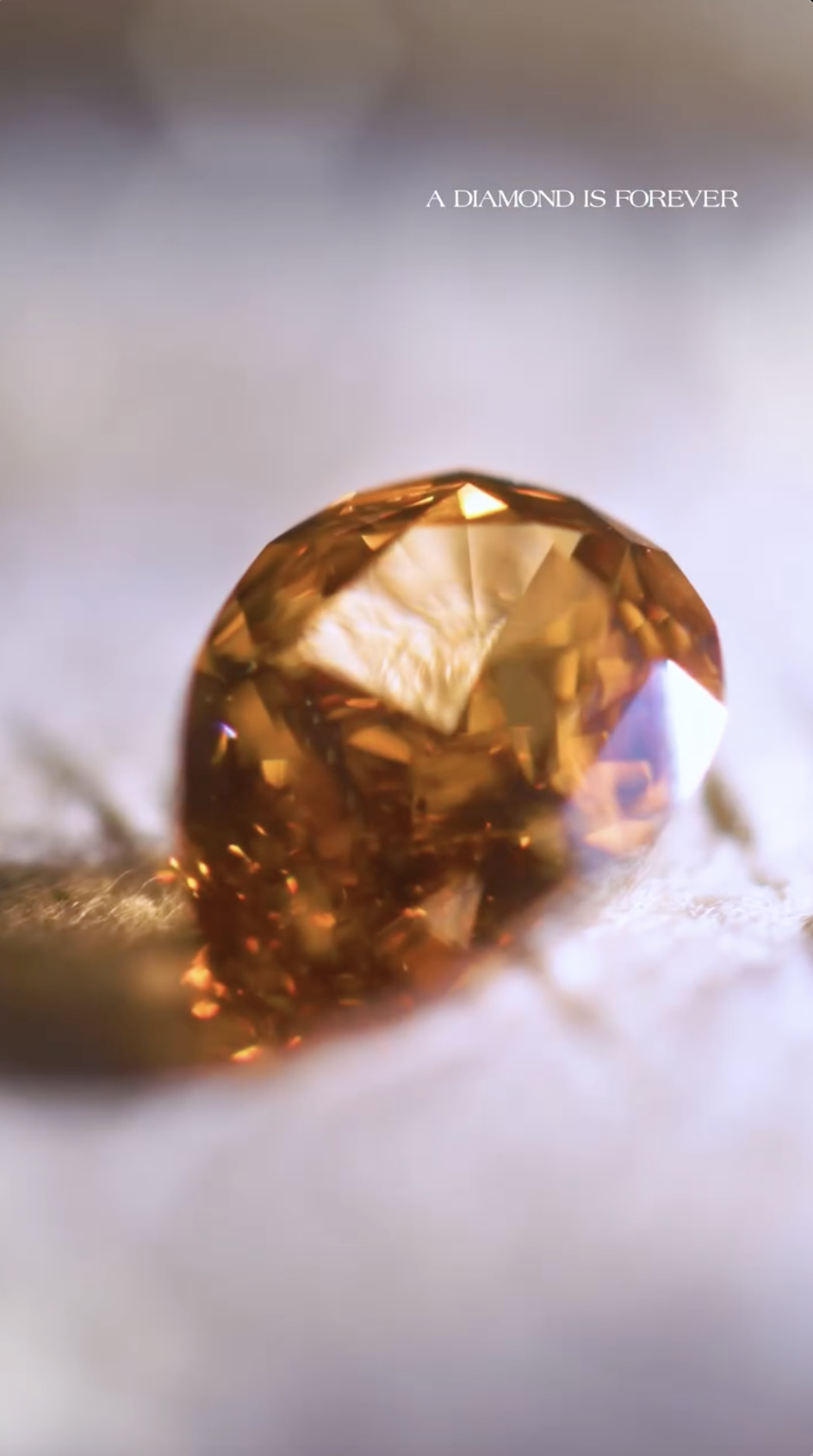 Screenshot 2026-01-31 at 10.13.45 PM.png