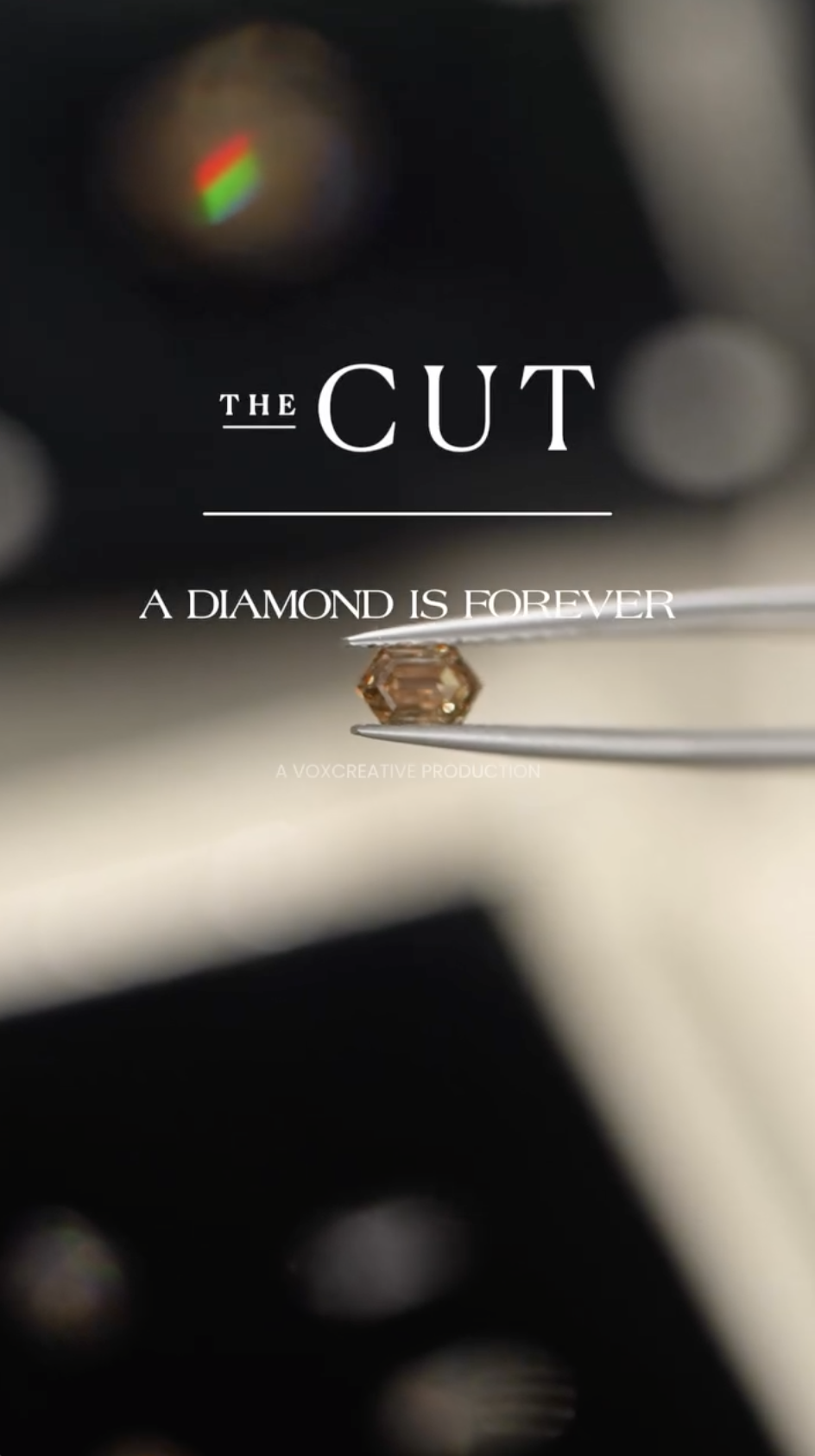 Screenshot 2026-01-31 at 10.10.31 PM.png