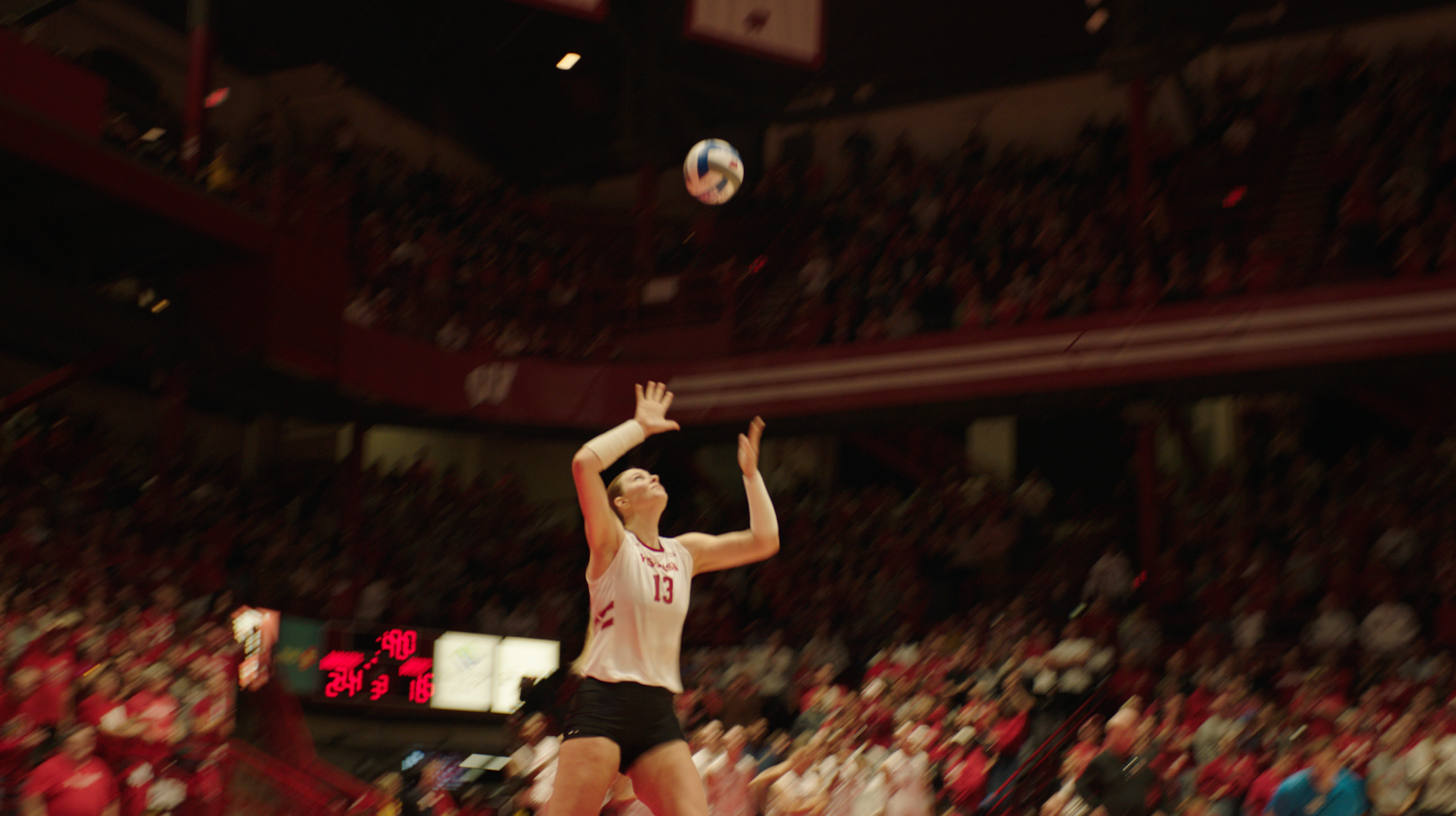 Screenshot 2024-10-19 at 11.59.59 AM.png