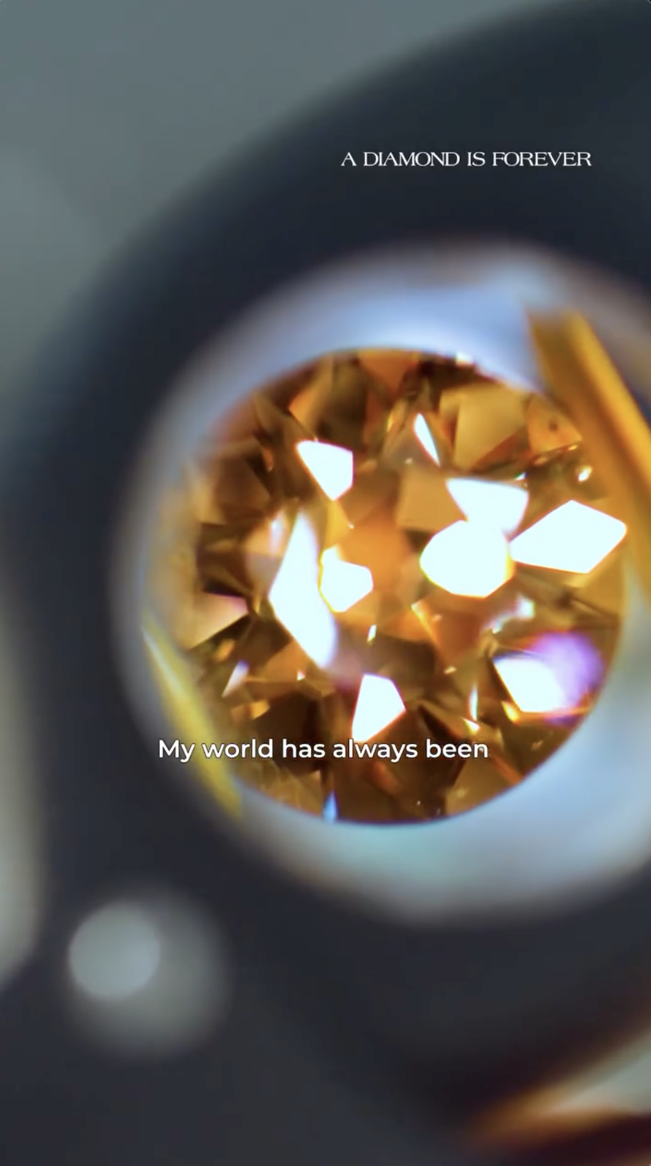 Screenshot 2026-01-31 at 10.13.17 PM.png