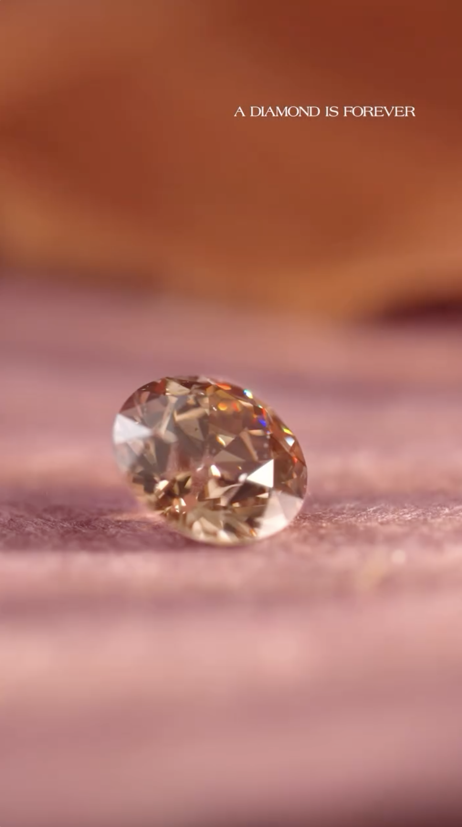 Screenshot 2026-01-31 at 10.28.36 PM.png