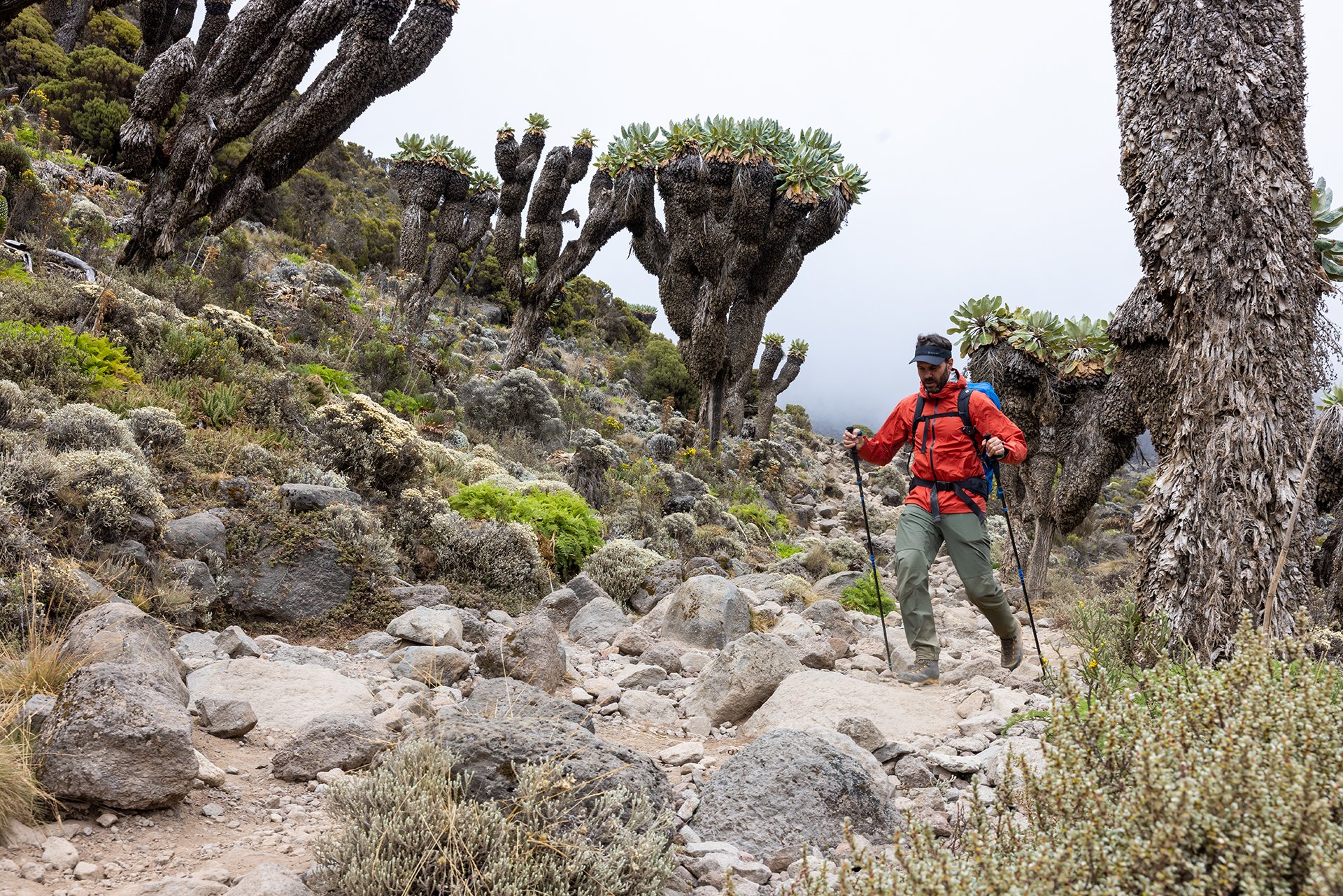 nuvu_travel_Kilimanjaro_48.jpg