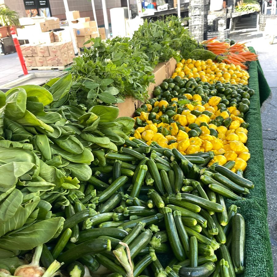 It&rsquo;s official! 🌱Summer squash season has started. 🌞🌻Now appearing through out the southland and at the @rowdtla this Saturday 11-3pm.  Yes, it be in your farm box.👨🏻&zwj;🌾📦 🌱 #weisersquash #weiserfamilyfarms #rowdtla #weiserfarmbox #eat