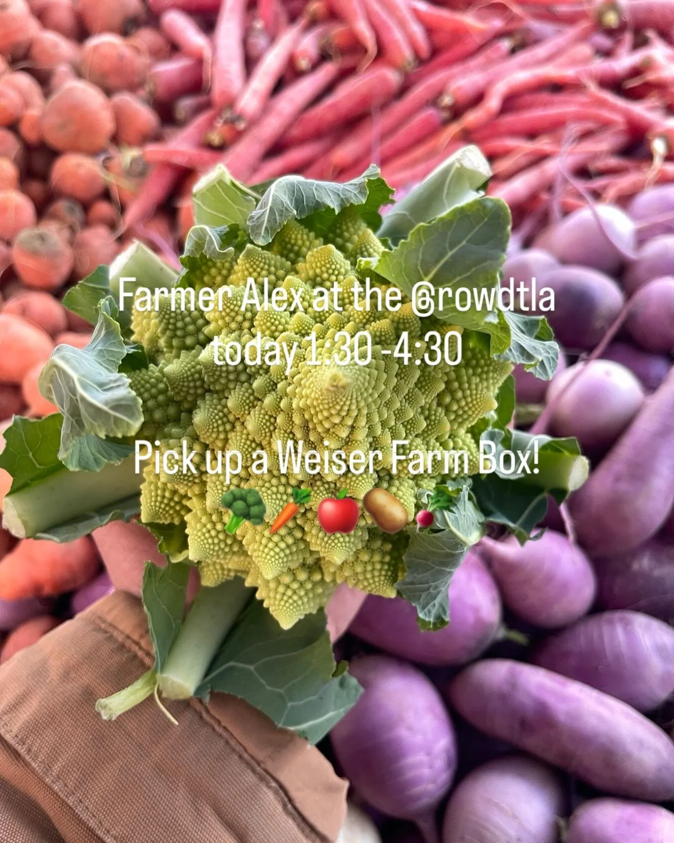 Hey! Thursday &amp; Saturdays 1:30-4:30pm @rowdtla we&rsquo;re having fun, serving the community with our wholesome fresh picked produce, right from our local farms!  Come on by say hello.  Let&rsquo;s talk farming and food! 👨🏻&zwj;🌾Order farm box