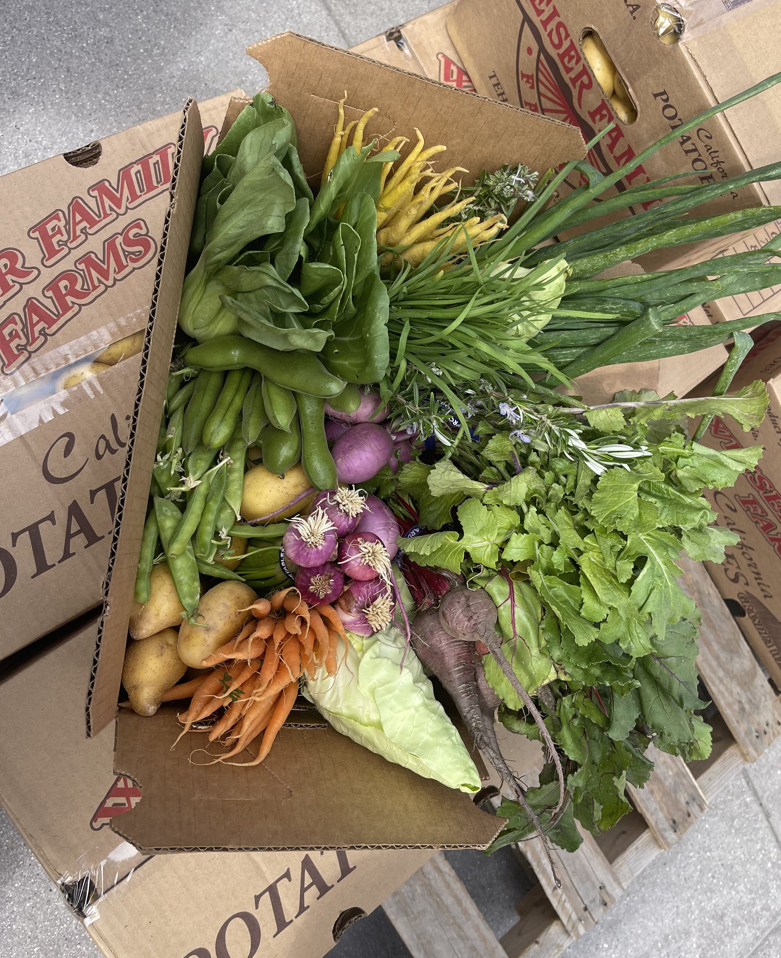 Weiser Farm CSA Box.jpg