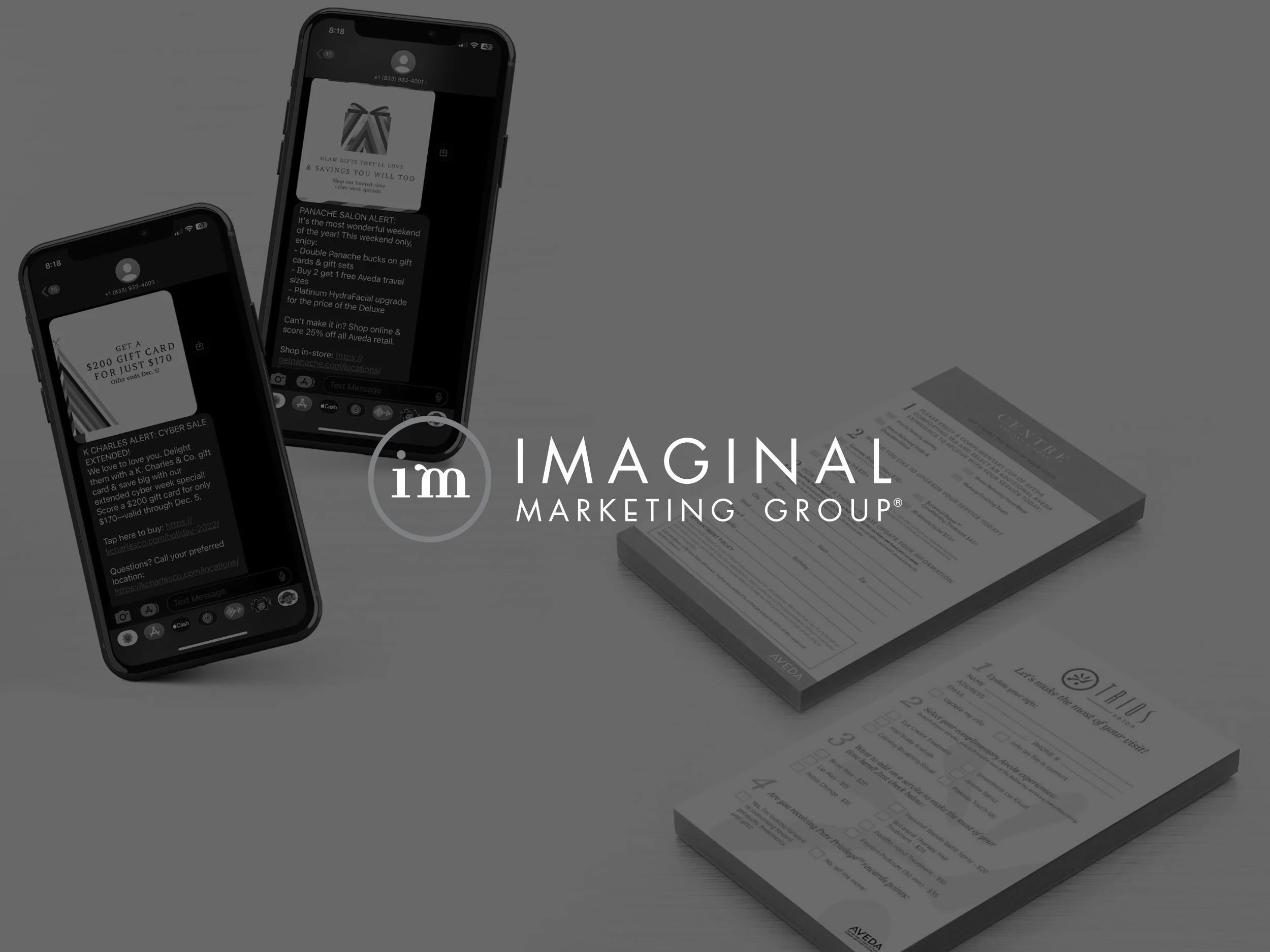 Navigating the Shock, Mastering the Awe: Meet Imaginal Marketing Group®