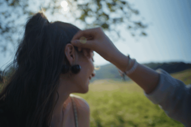 PicnicGif3.gif