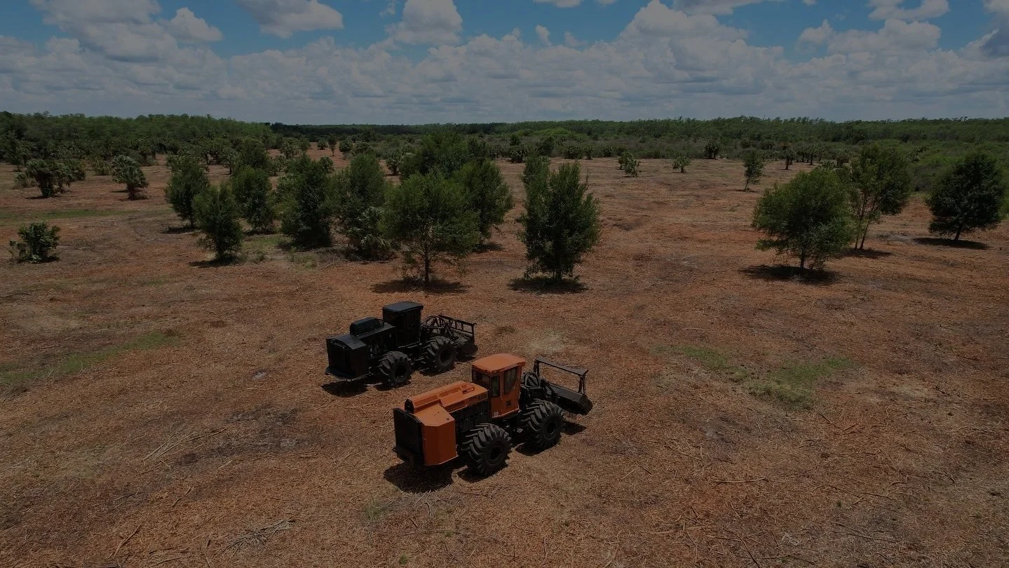 forestry mulching service