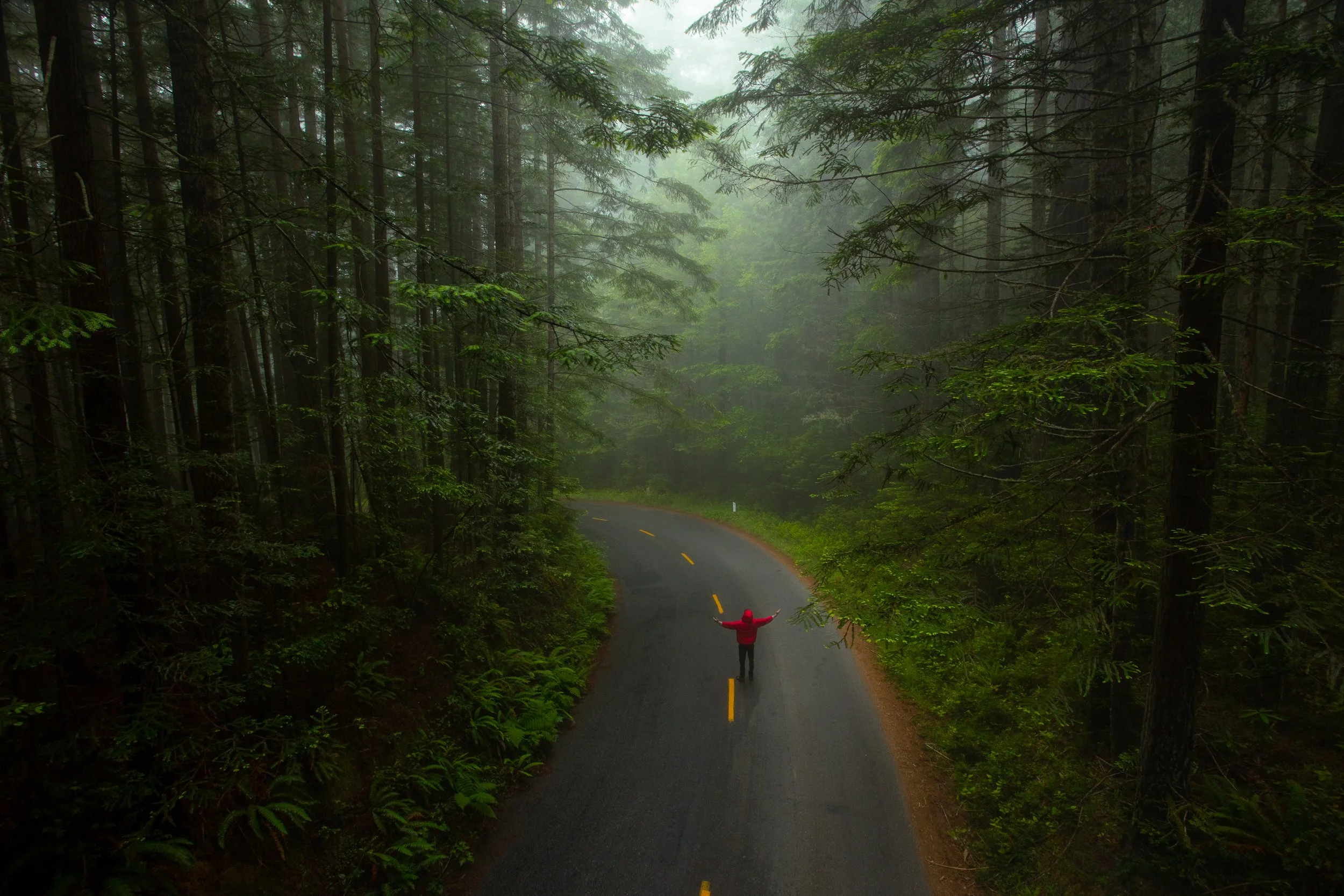 untitled-432.jpg