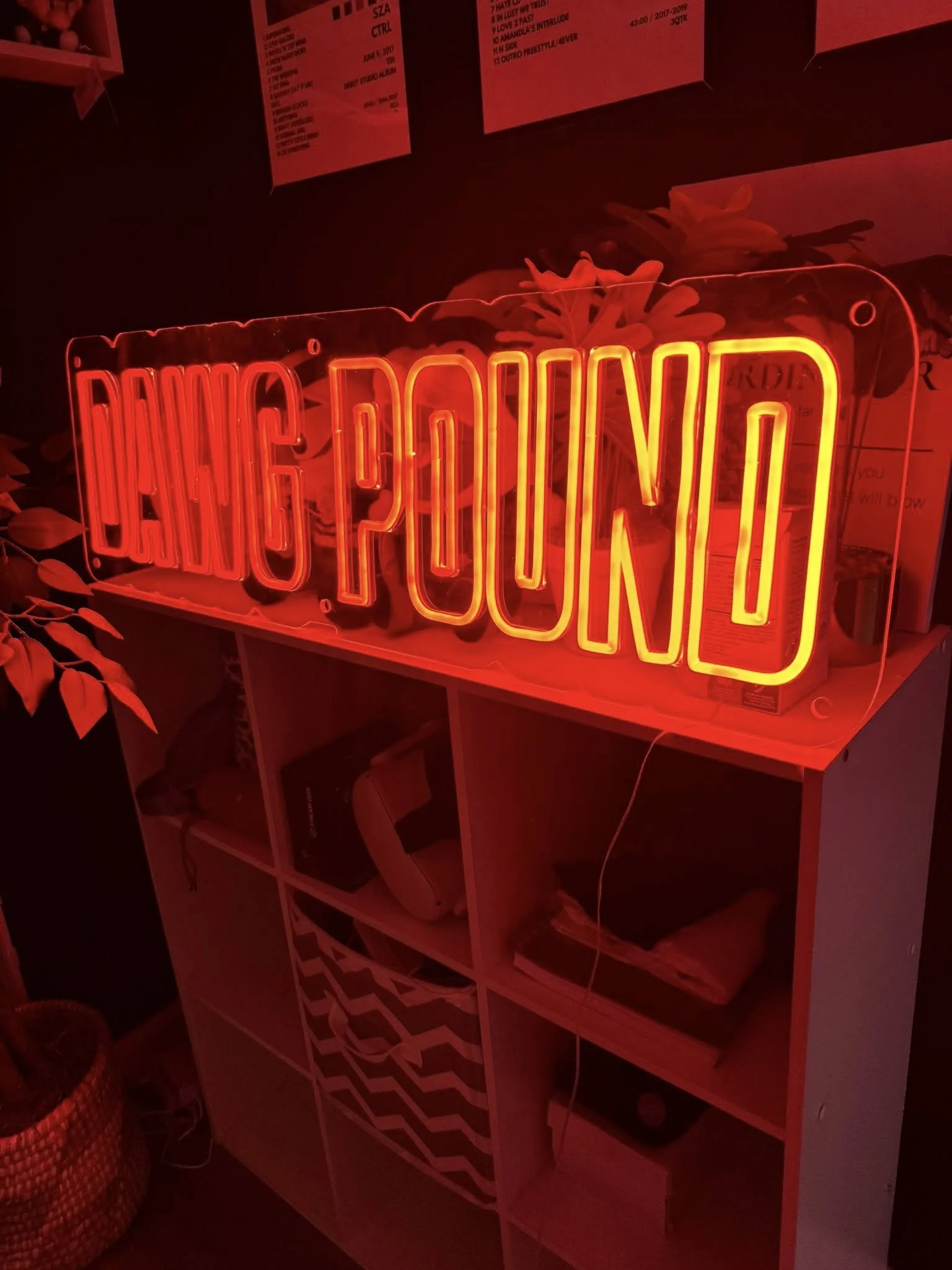 Red neon sign that reads 'FAKE FOOD' on a display shelf with what appears to be plants and other items in the background.