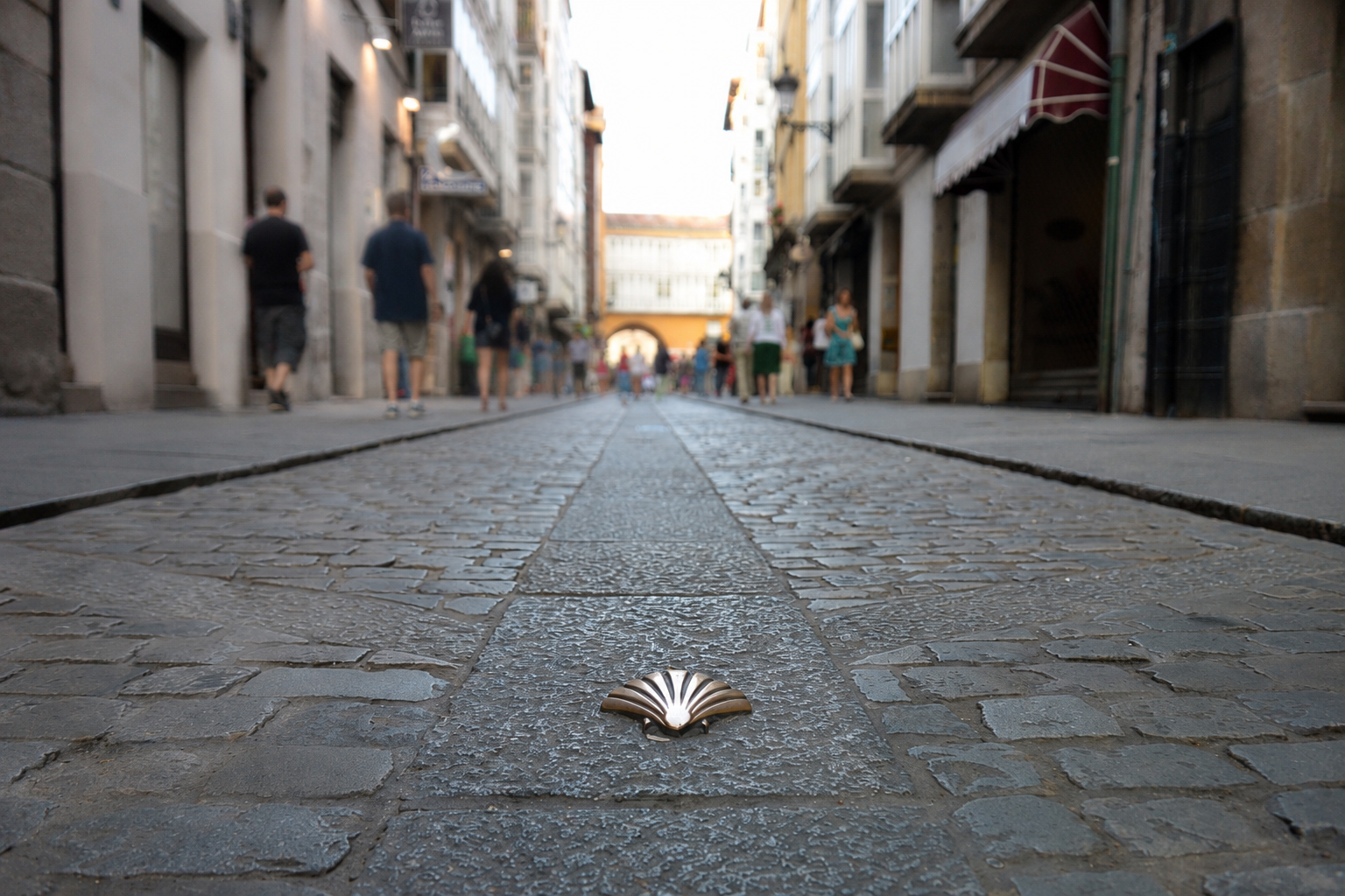 What Comes After Camino?