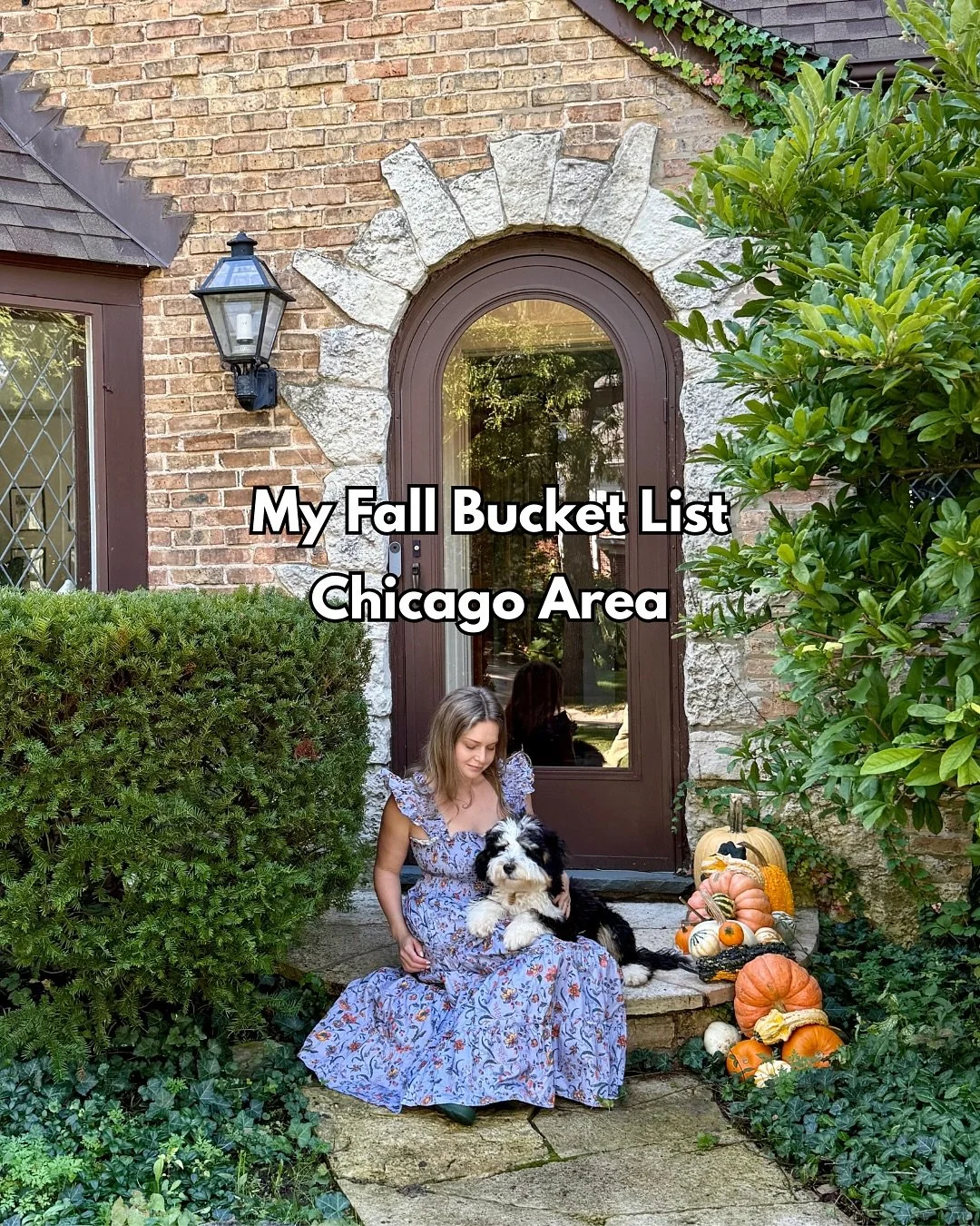 Chicago and the North Shore are packed with fall fun! From apple picking, pumpkin fests, glowing jack-o&rsquo;-lanterns, and Riverwalk nights🍂🎃Which one are you adding to your bucket list?

📞 847-644-6848
📧 haleyhaleylevine.com
👱🏼&zwj;♀️ Compas